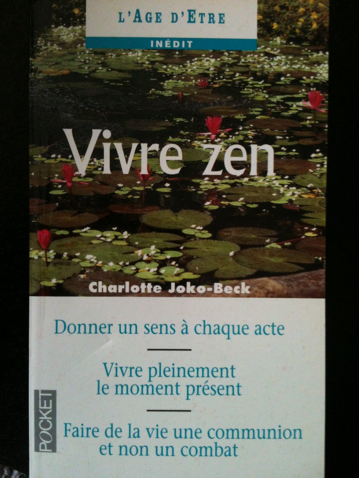 Vivre zen 9782266063111