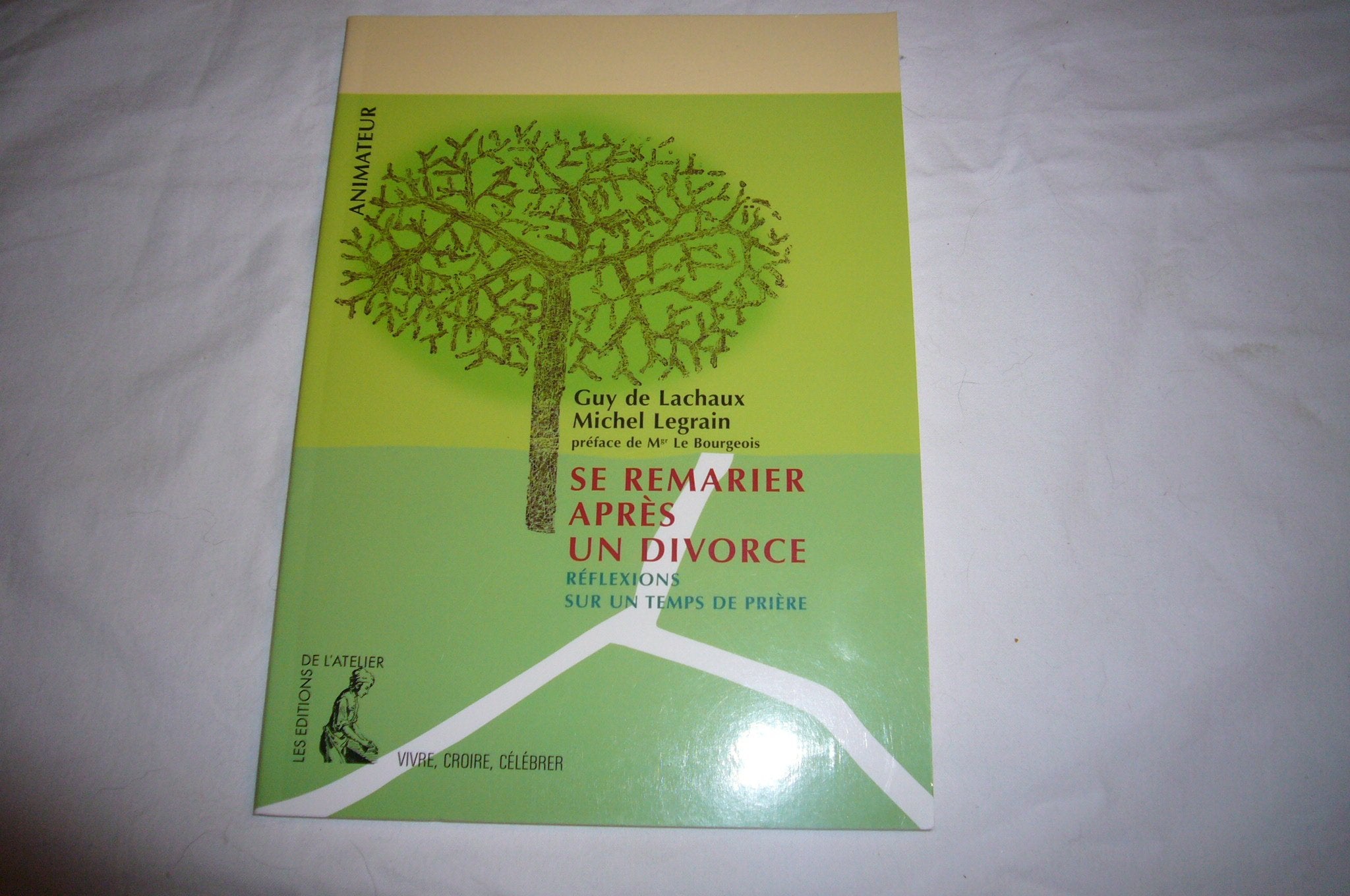 Se remarier après un divorce : Réflexions sur un temps de prière 9782708237520