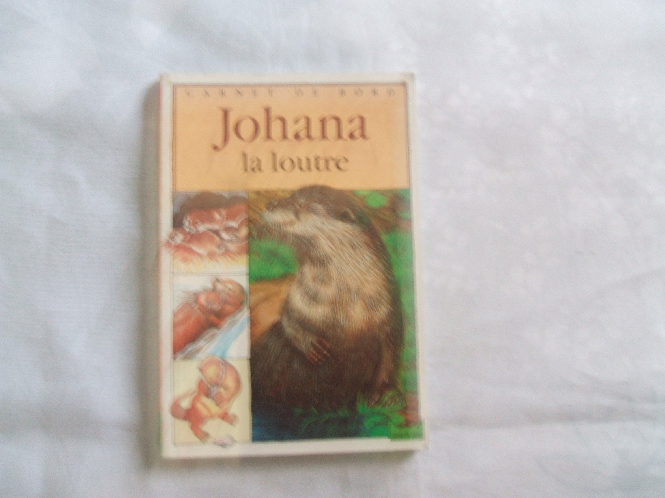 Johana la loutre 9782010167034
