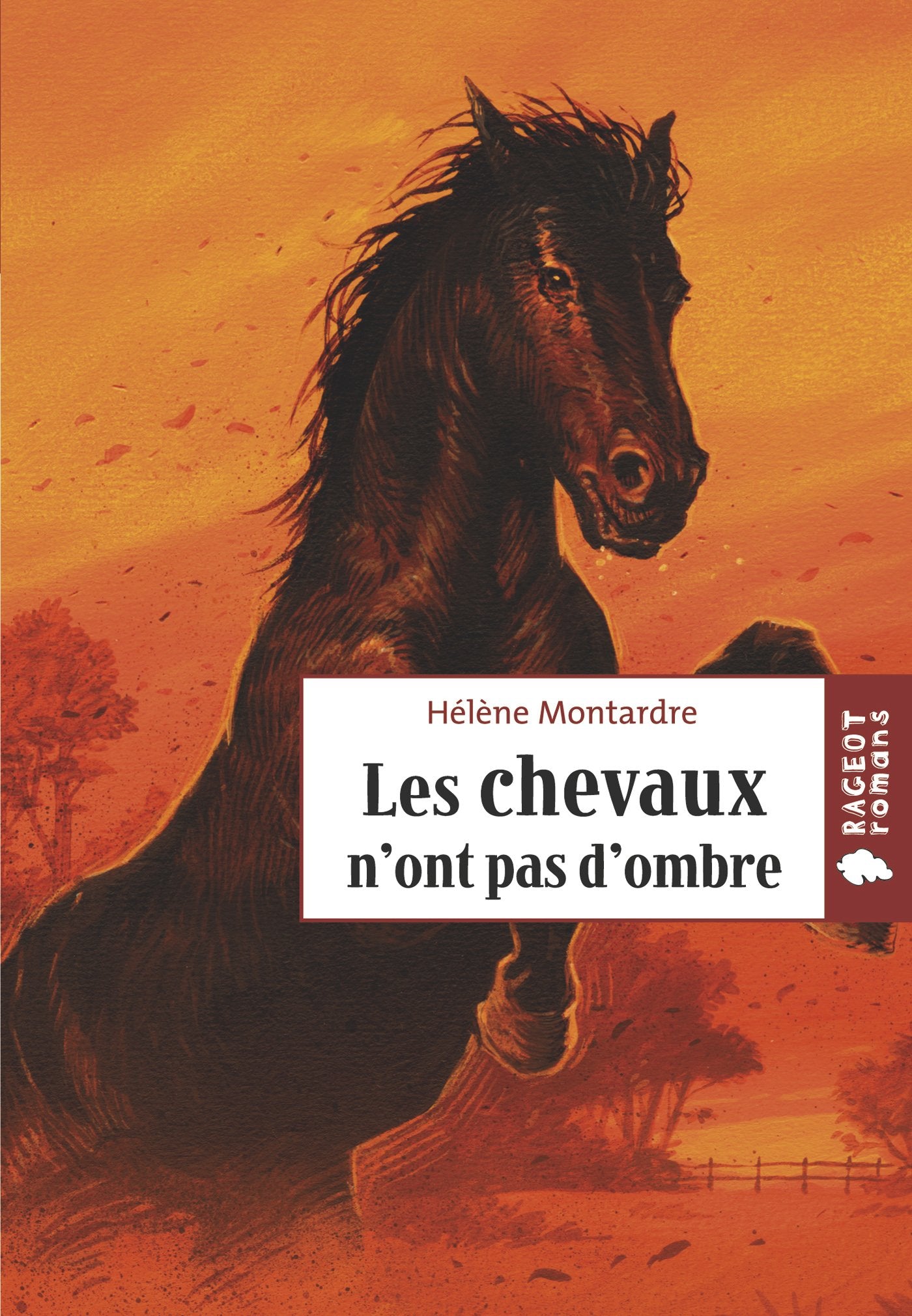 Les chevaux n'ont pas d'ombre 9782700235456