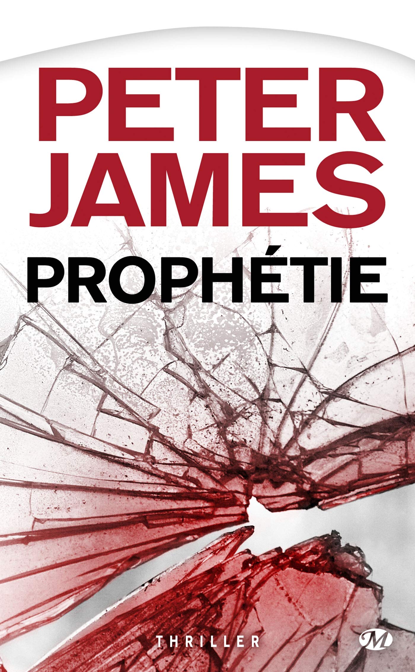 Peter James, Tome : Prophétie 9782811201722