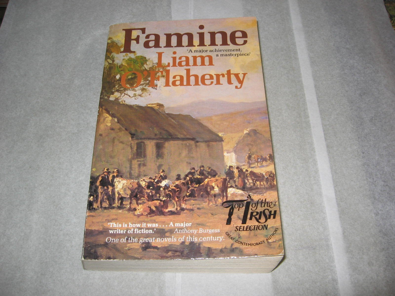 Famine 9780863270437