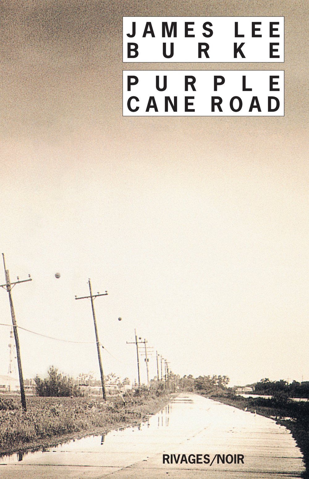 Purple Cane Road 9782743616526