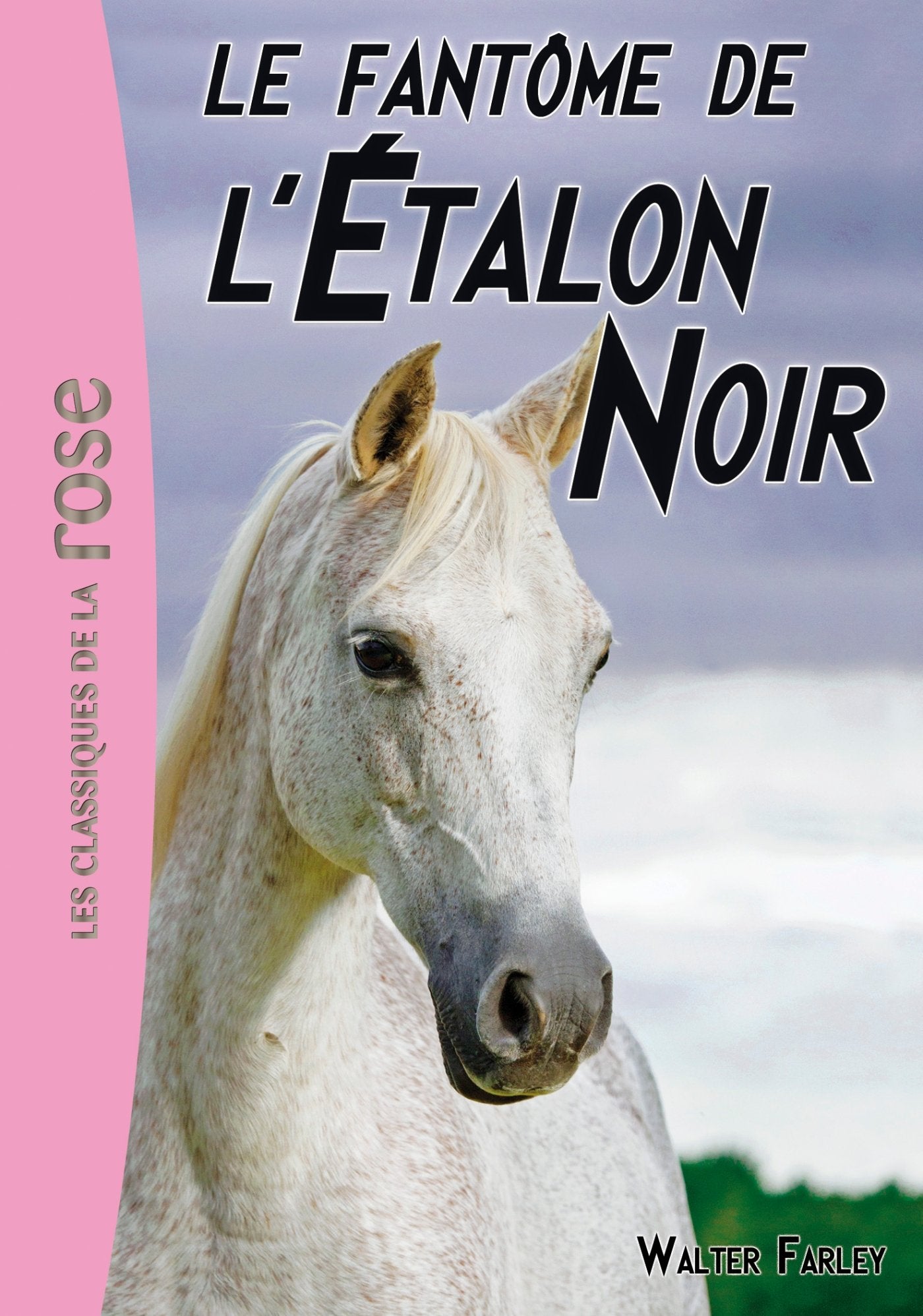 L'Étalon Noir 16 - Le fantôme de l'Étalon Noir 9782014018493