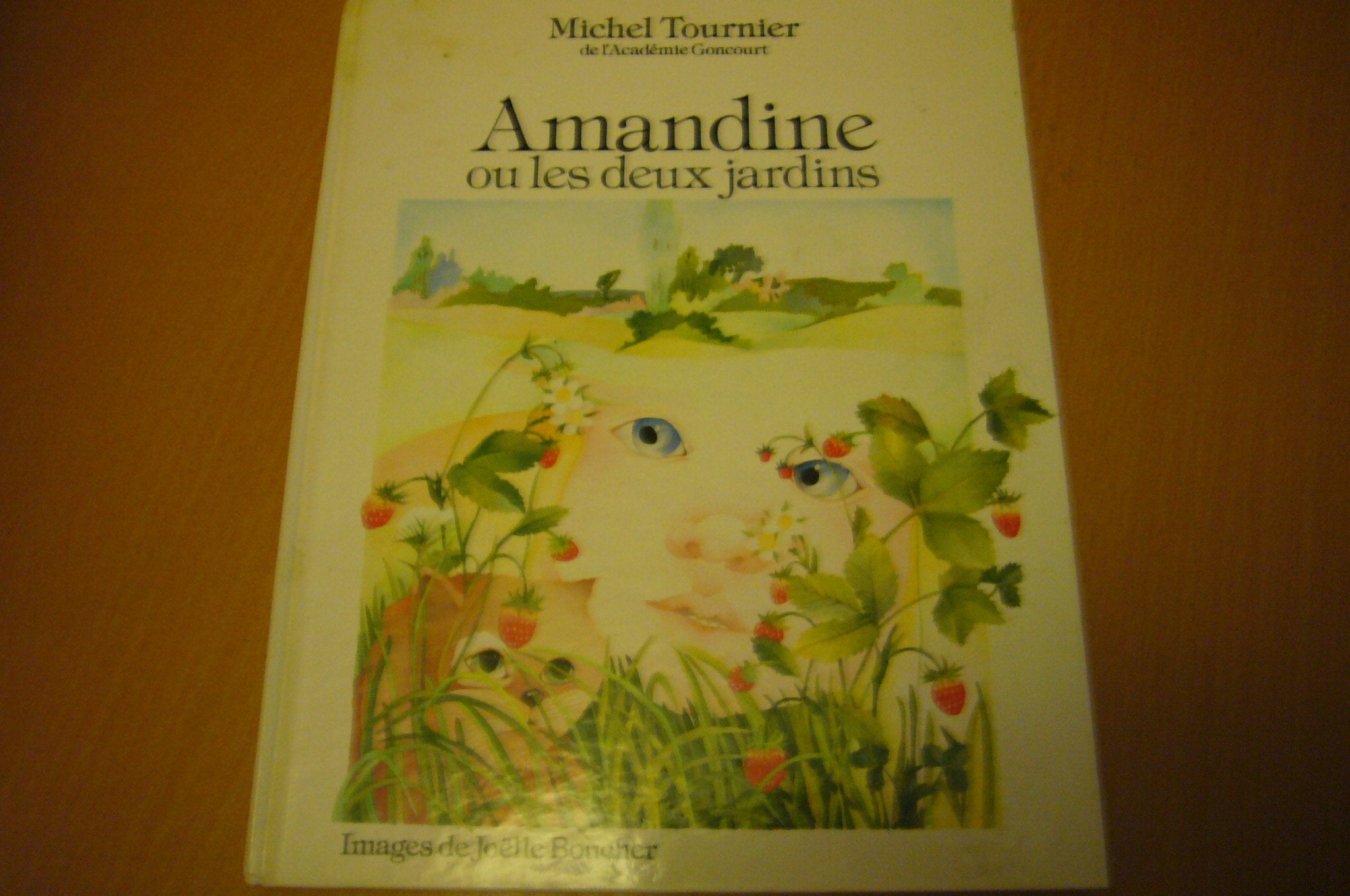 Amandine ou les Deux jardins 9782724217209