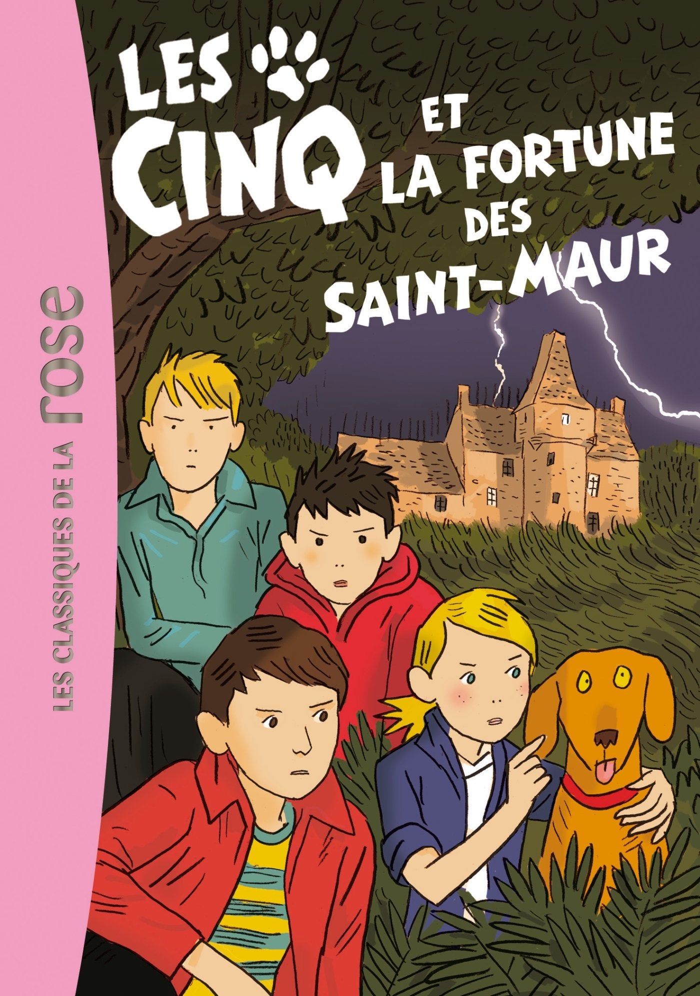 Les Cinq 31 - Les Cinq et la fortune des Saint-Maur 9782012036079