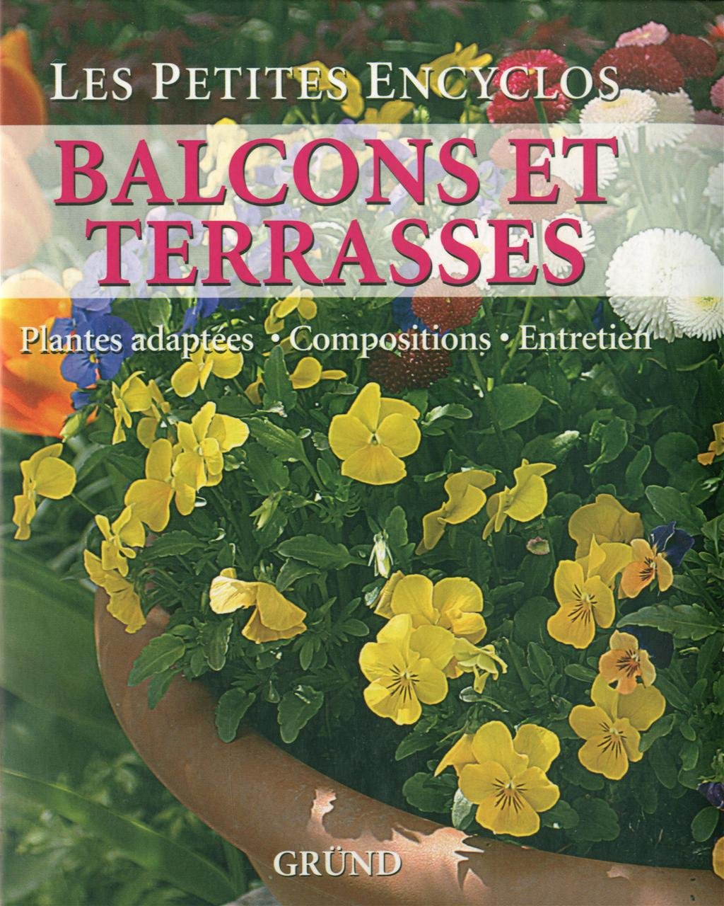 BALCONS ET TERRASSES 9782700023770