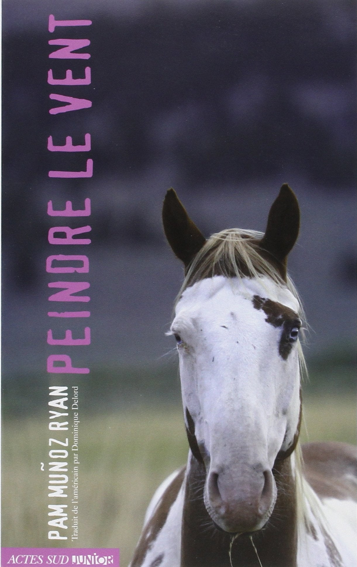 Peindre le vent 9782742783670