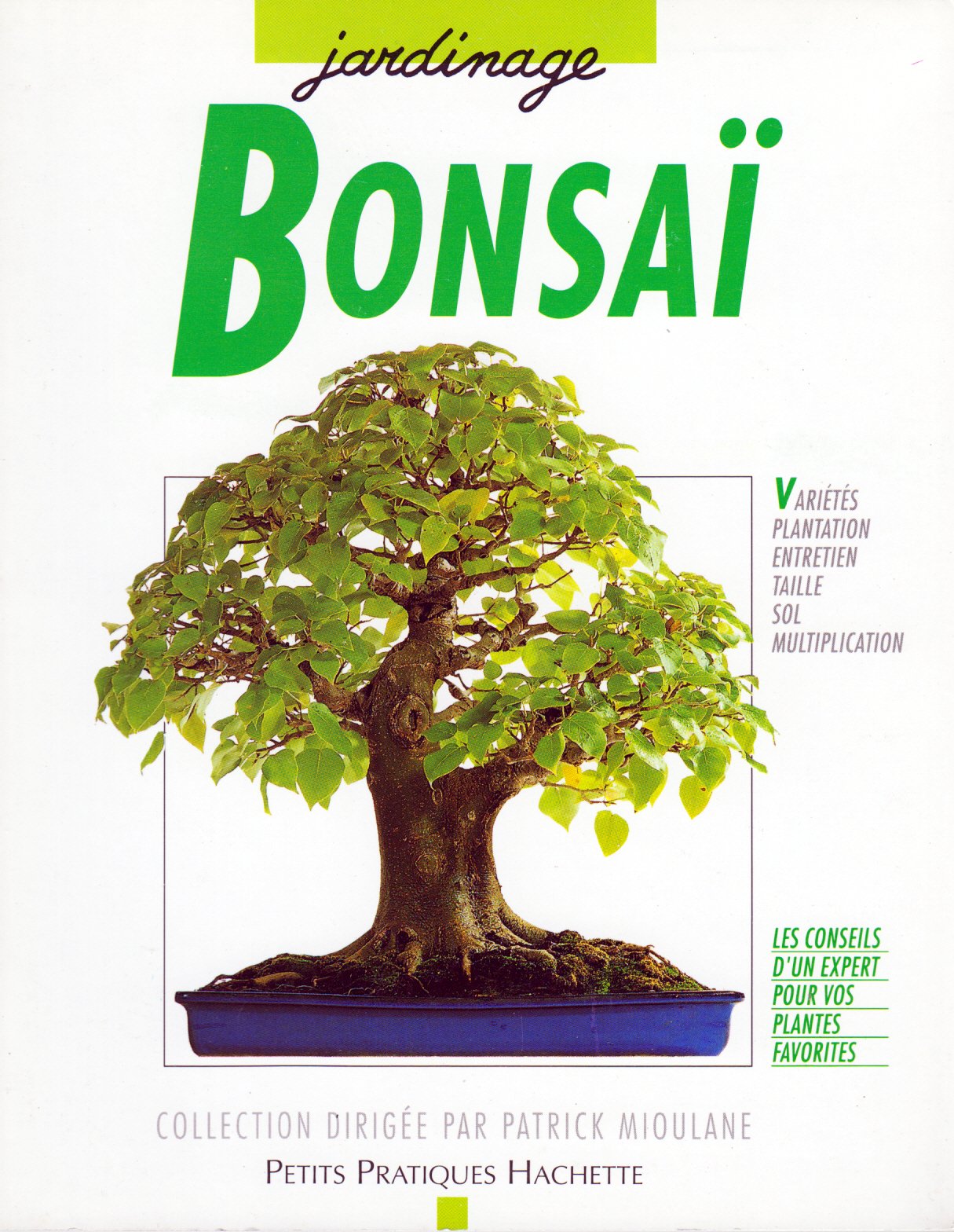 Bonsaï 9782010204265