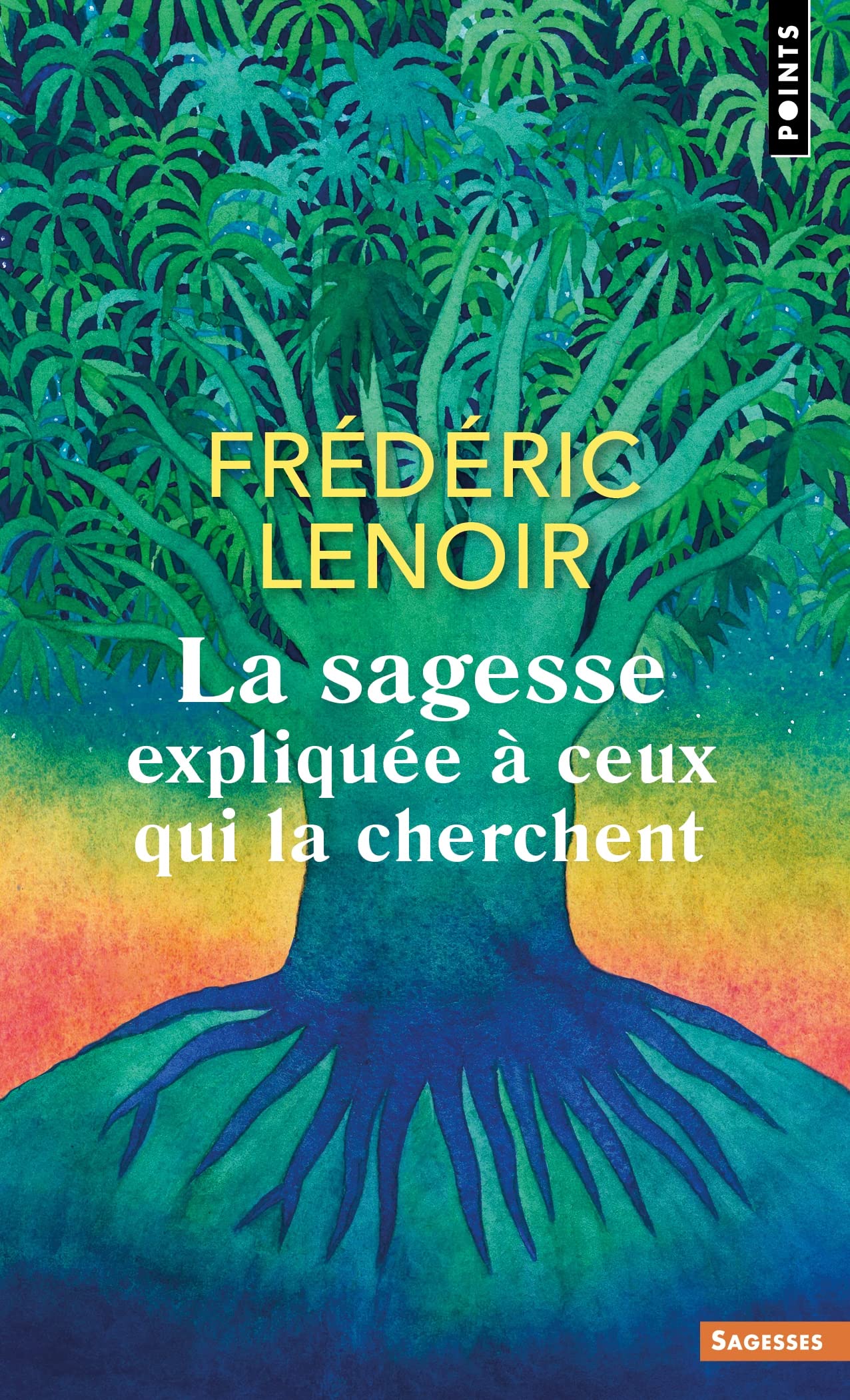 La Sagesse expliquée à ceux qui la cherchent 9791041400010