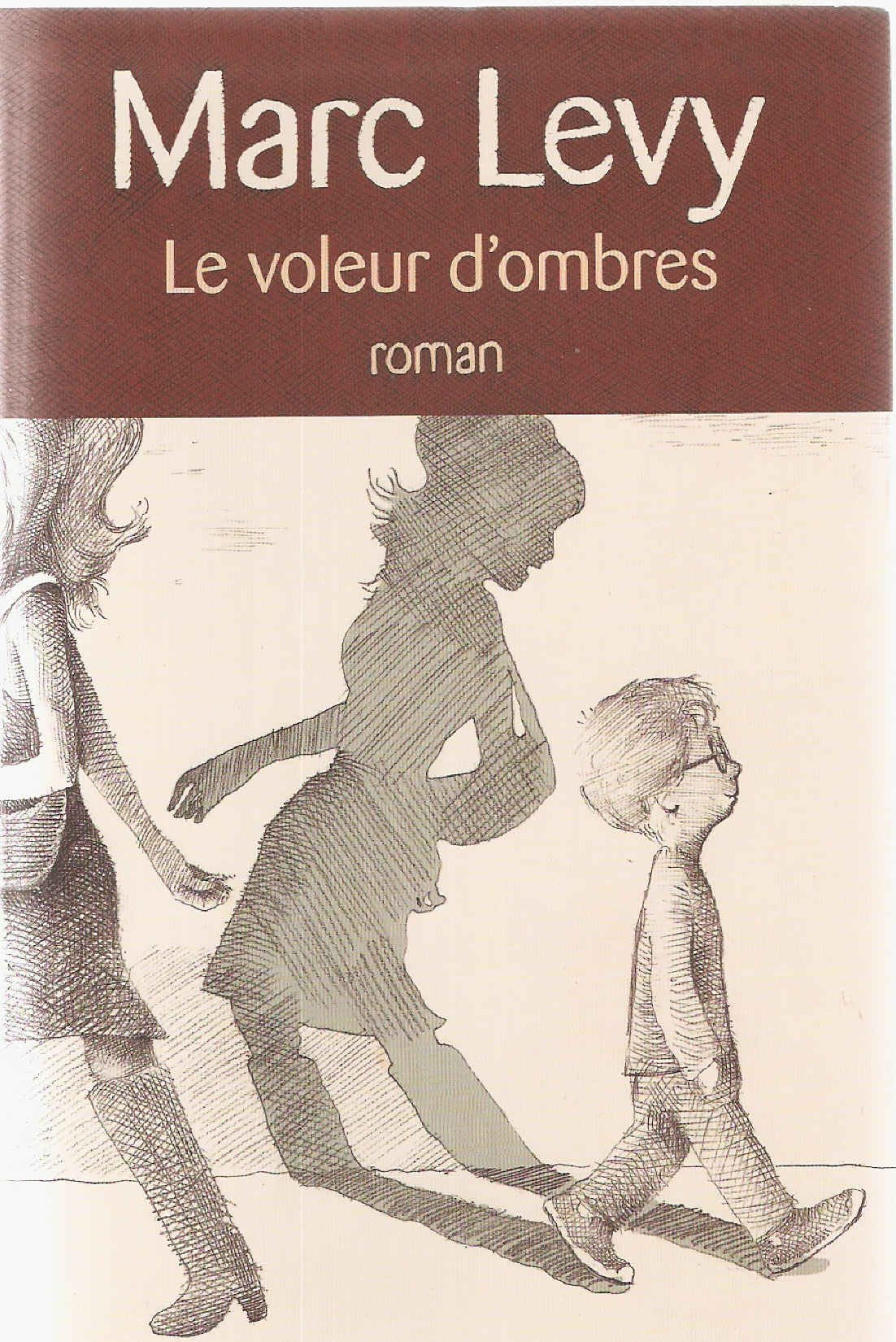 le voleur d'ombres - roman 9782286068875