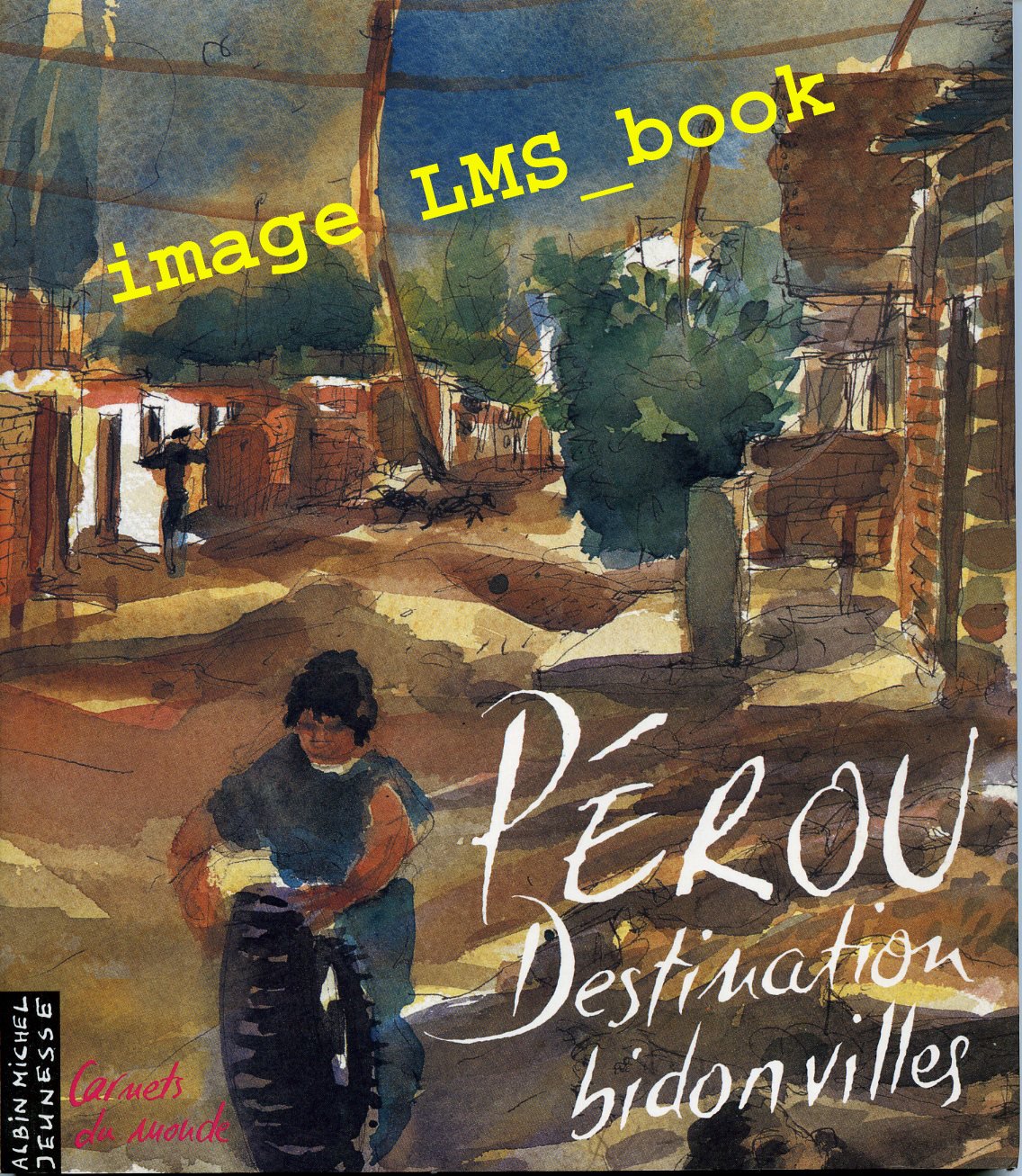 Pérou destination bidonvilles 9782226058263
