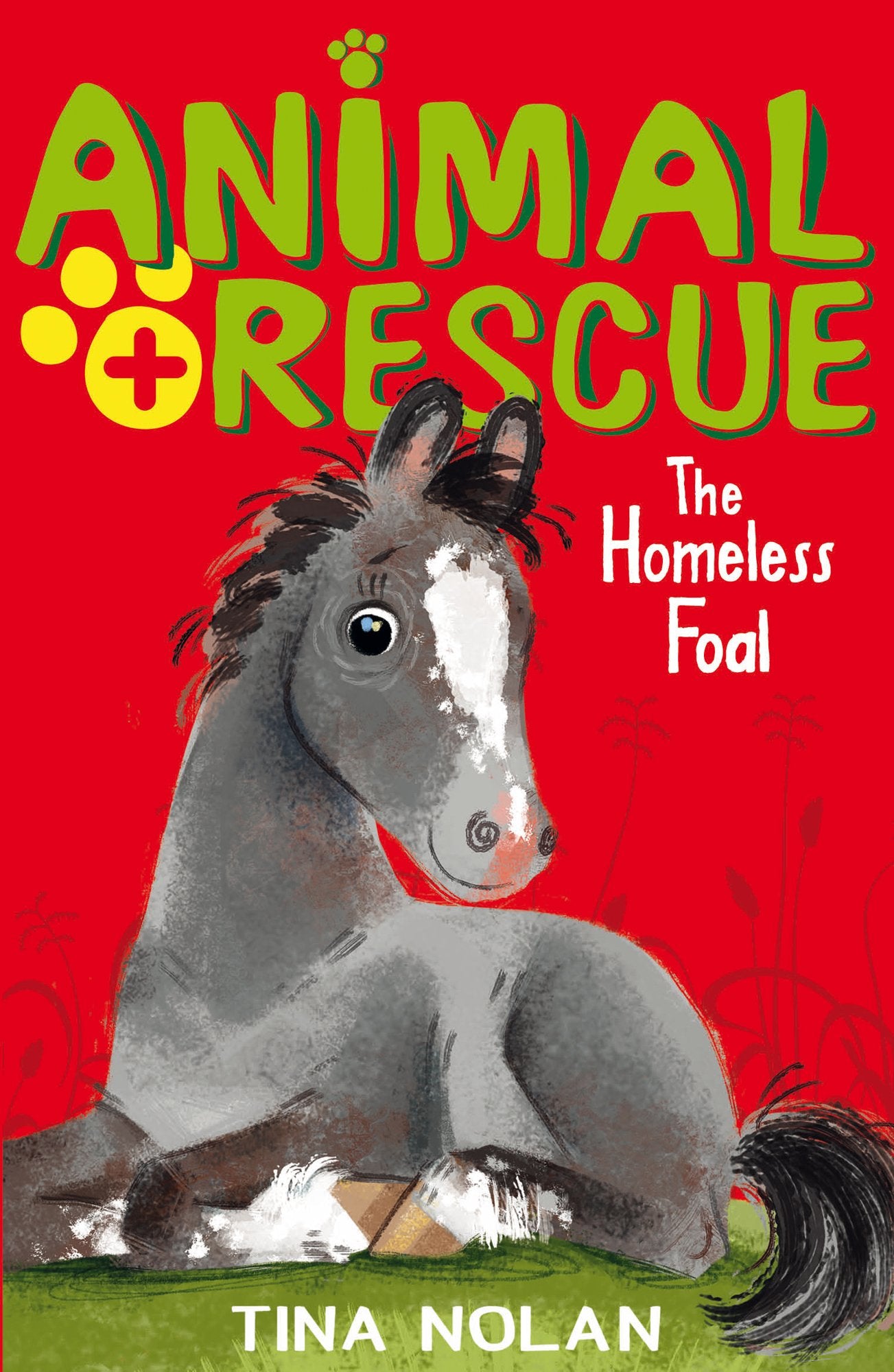 The Homeless Foal: 3 (Animal Rescue, 3) 9781847156815