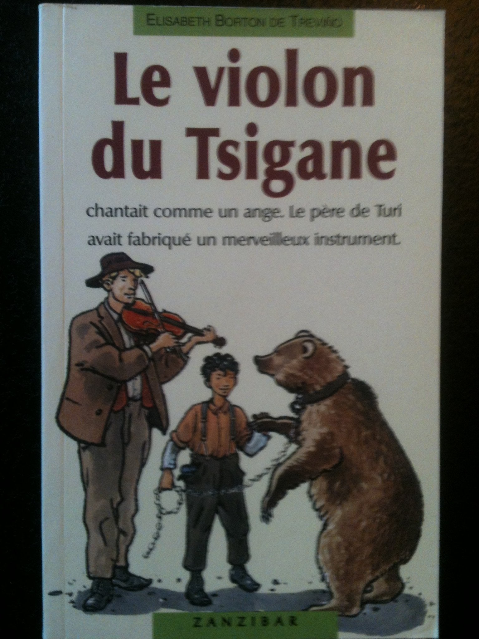 Le violon du tsigane 9782841131747
