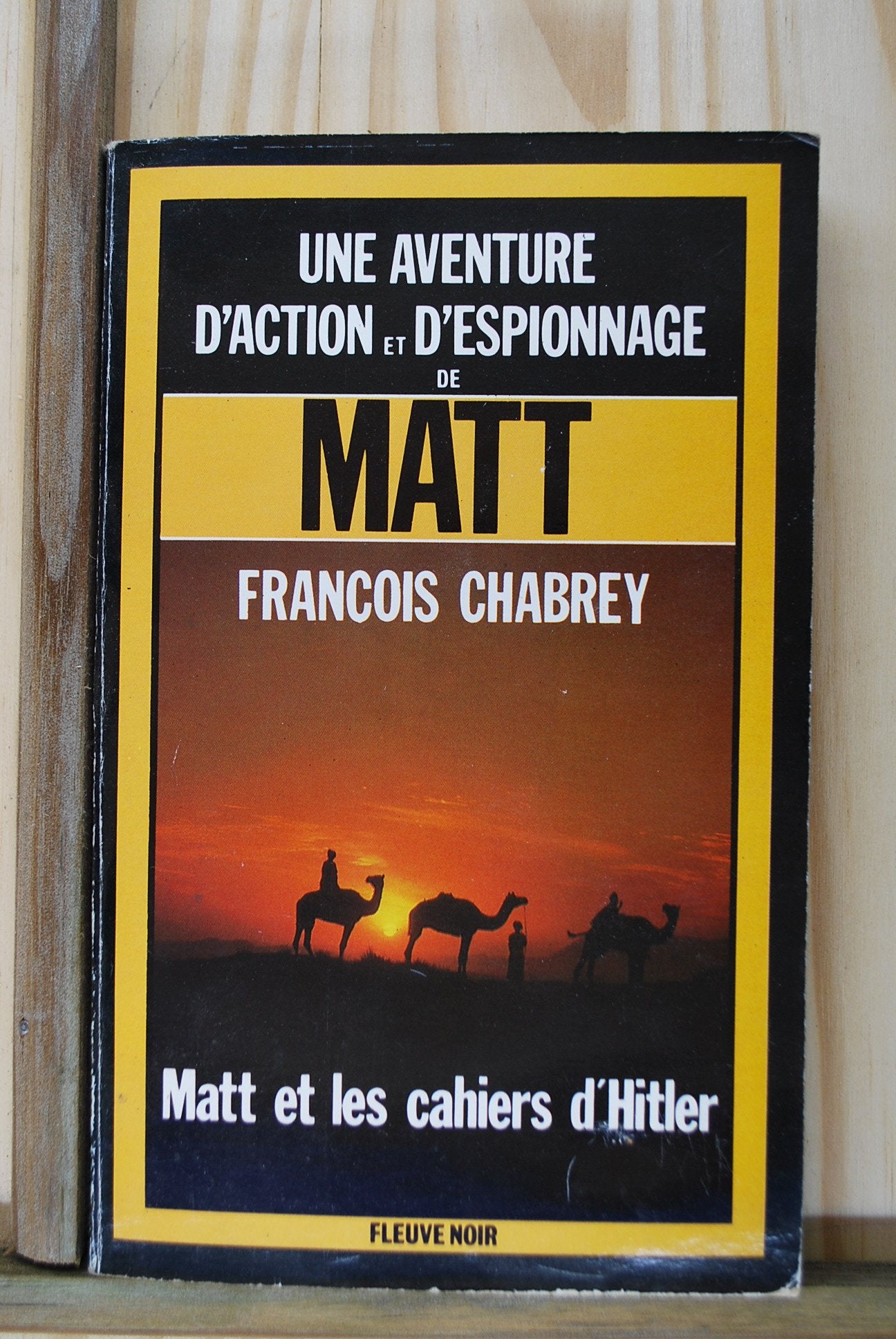 Matt et les cahiers d'hitler 9782265025745