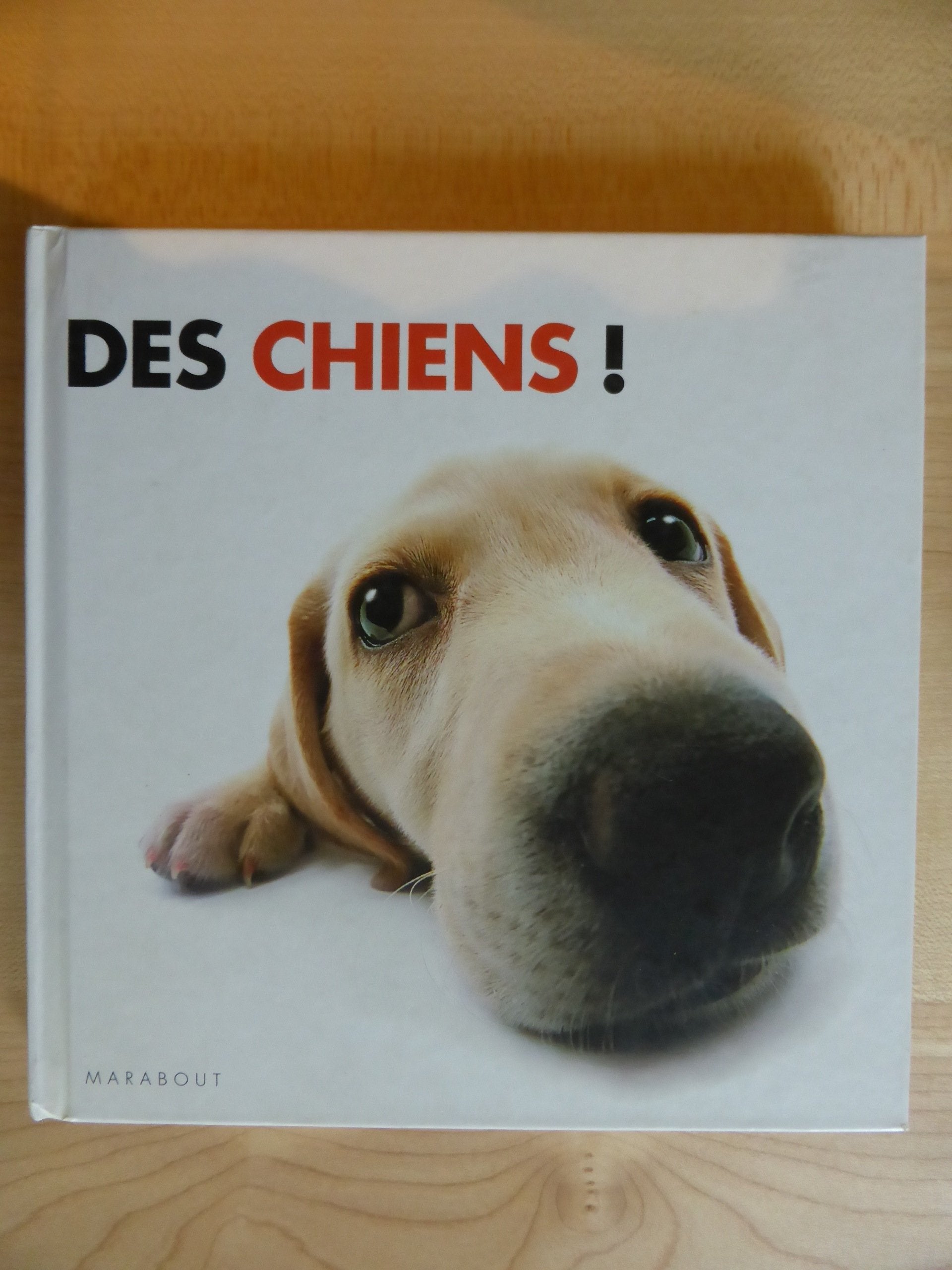 Des chiens ! 9782501043472