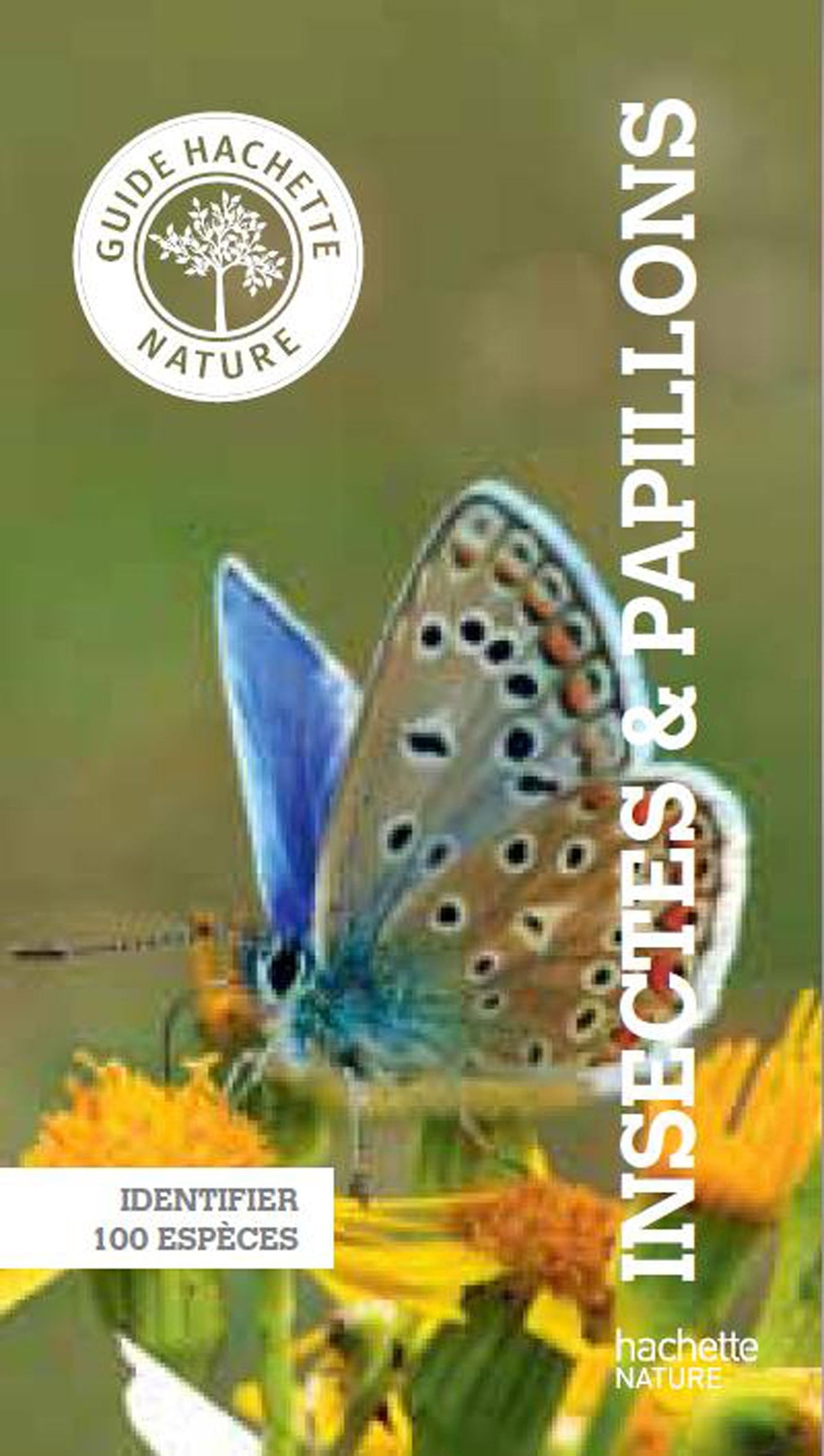 Insectes & papillons 9782012384187