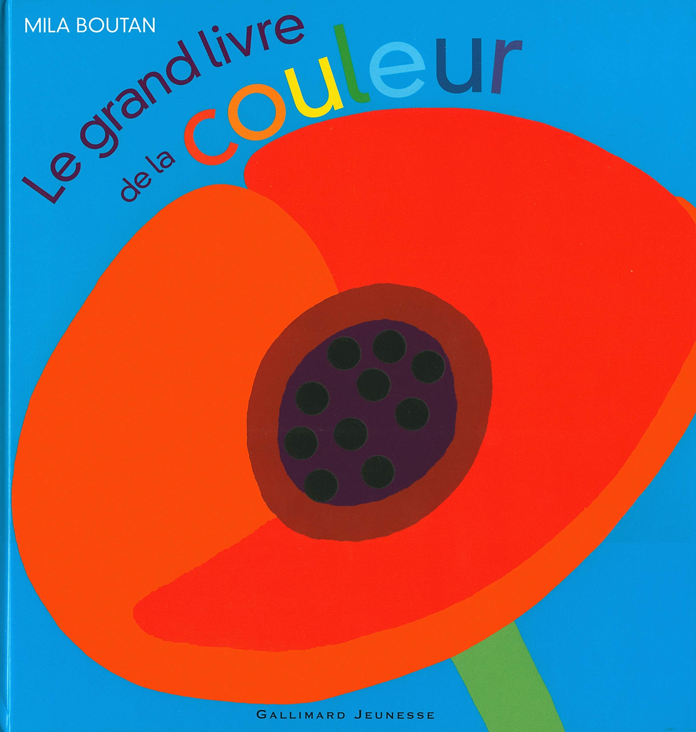 LE GRAND LIVRE DE LA COULEUR - A partir de 3 ans 9782070559664