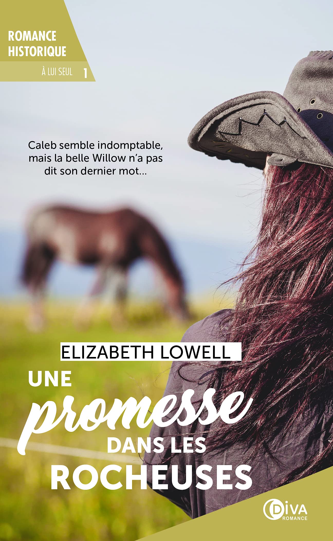 Une promesse dans les rocheuses (tome 1): lui seul 9782368122037