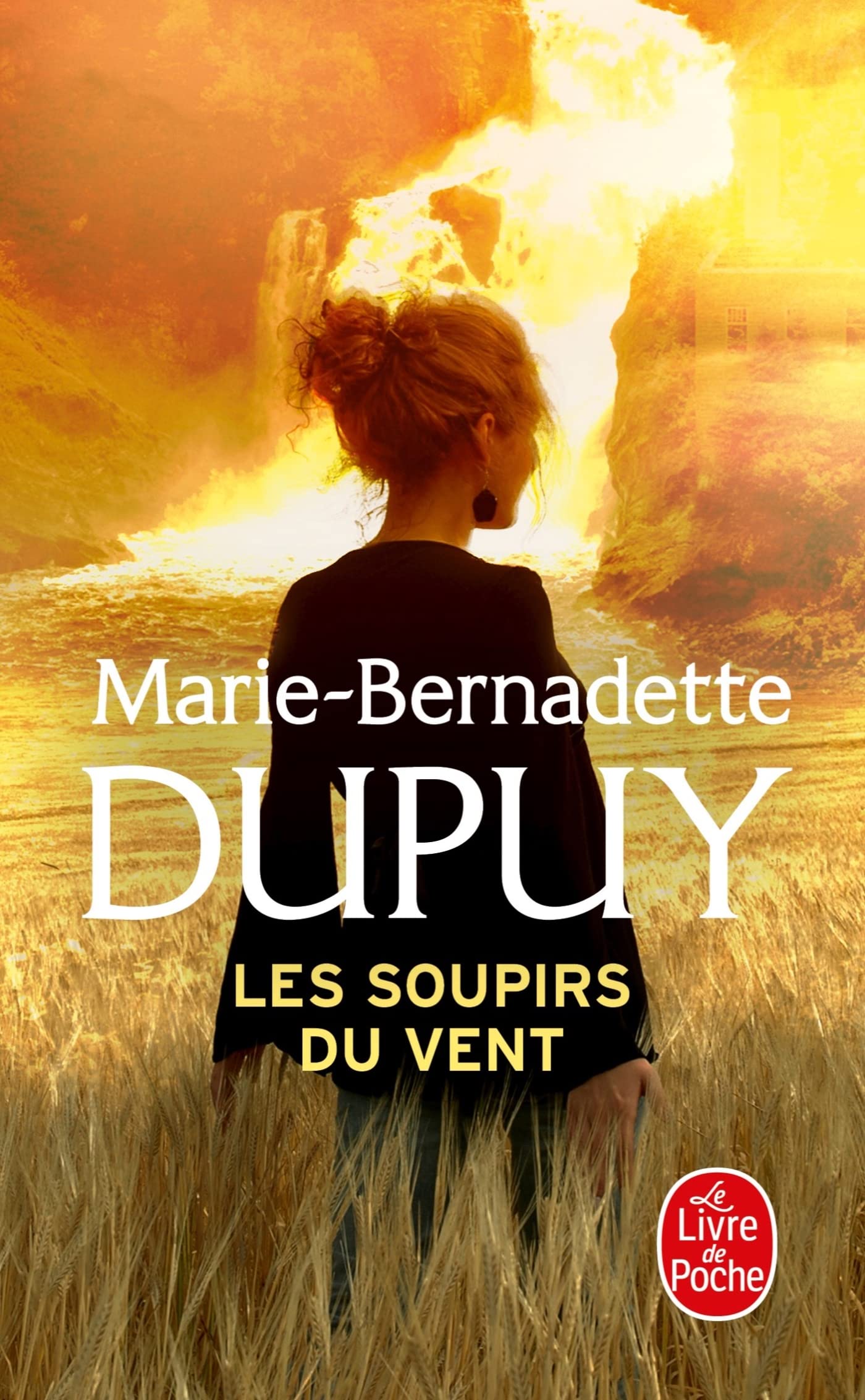 Les Soupirs du vent (L'Orpheline des neiges, Tome 3) 9782253194521