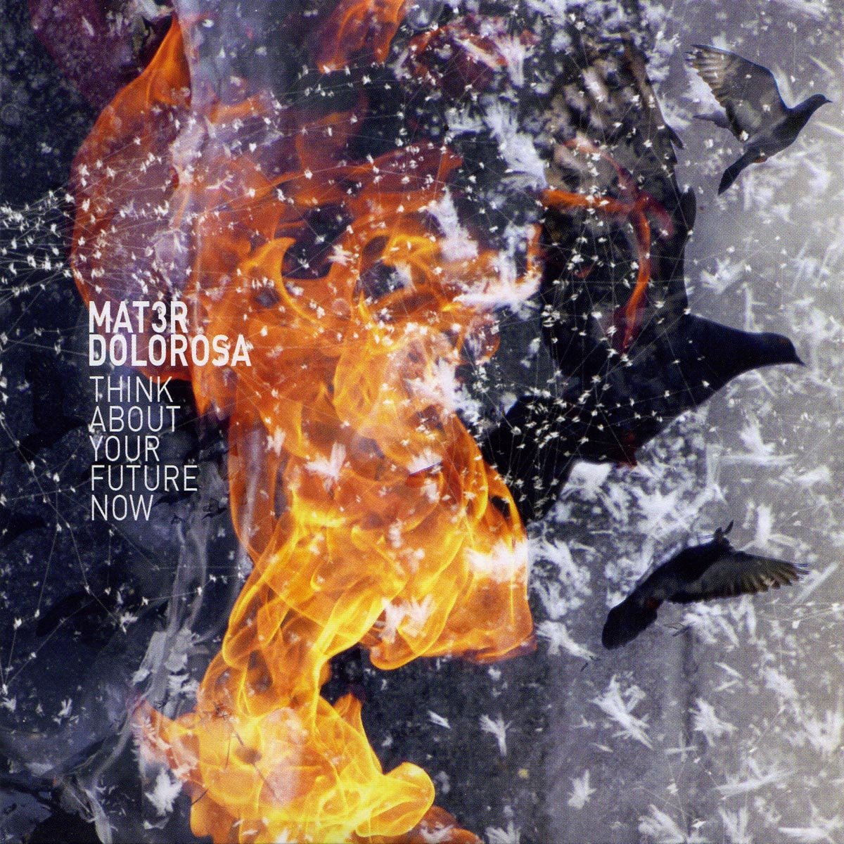 Think About Your Future Now 3521383422502