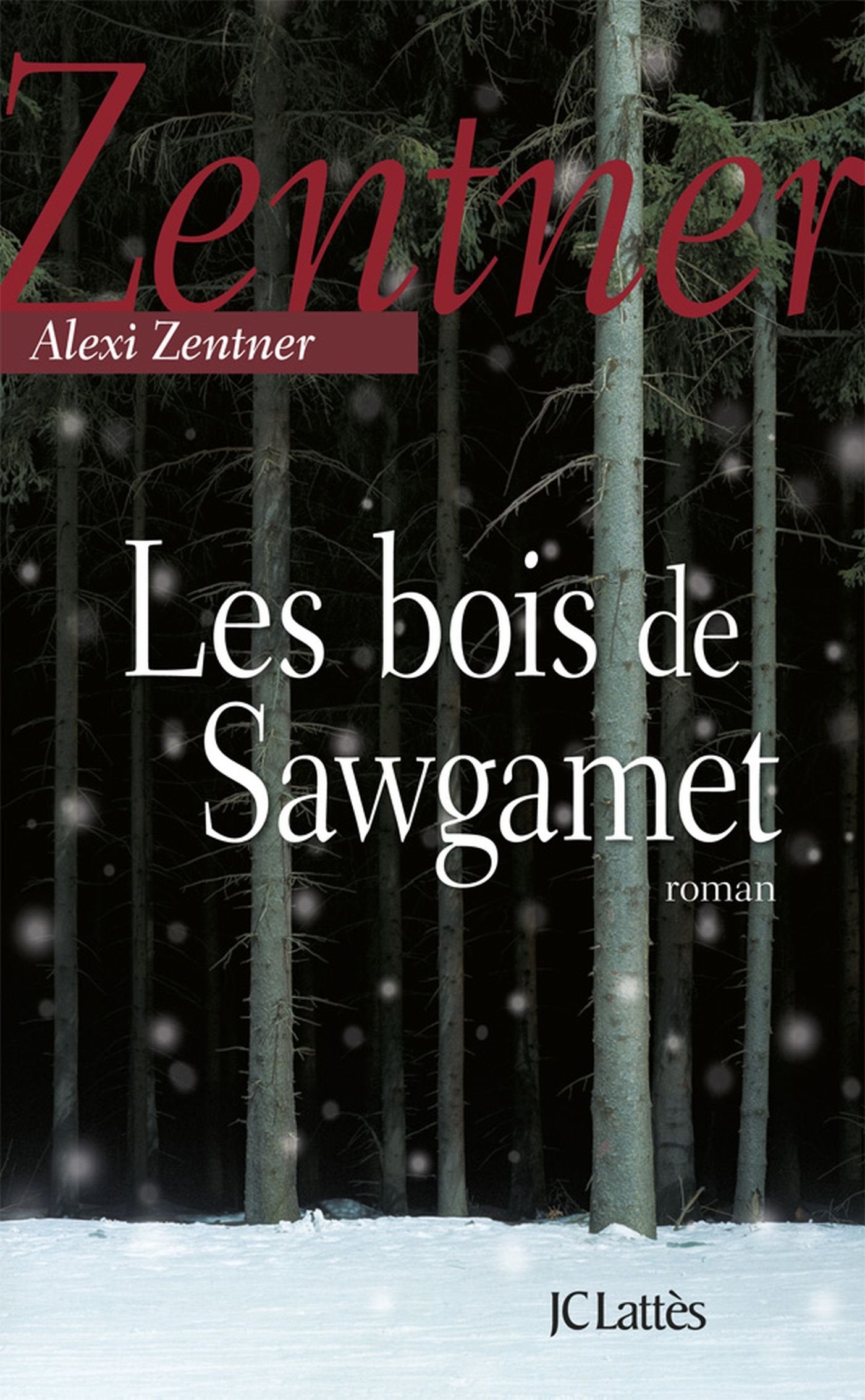 Les bois de Sawgamet 9782709635585