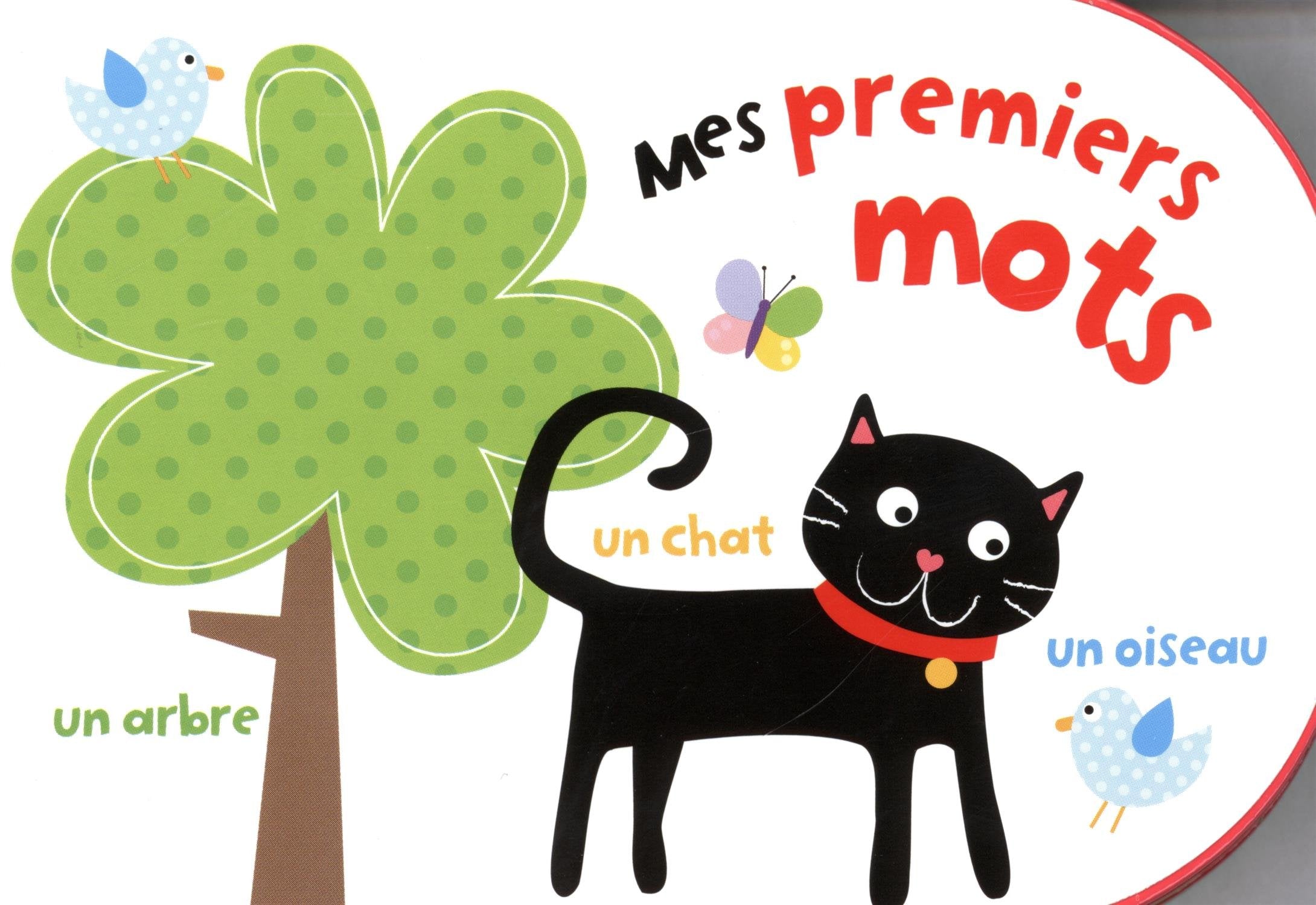 Mes premiers mots 9782753032408