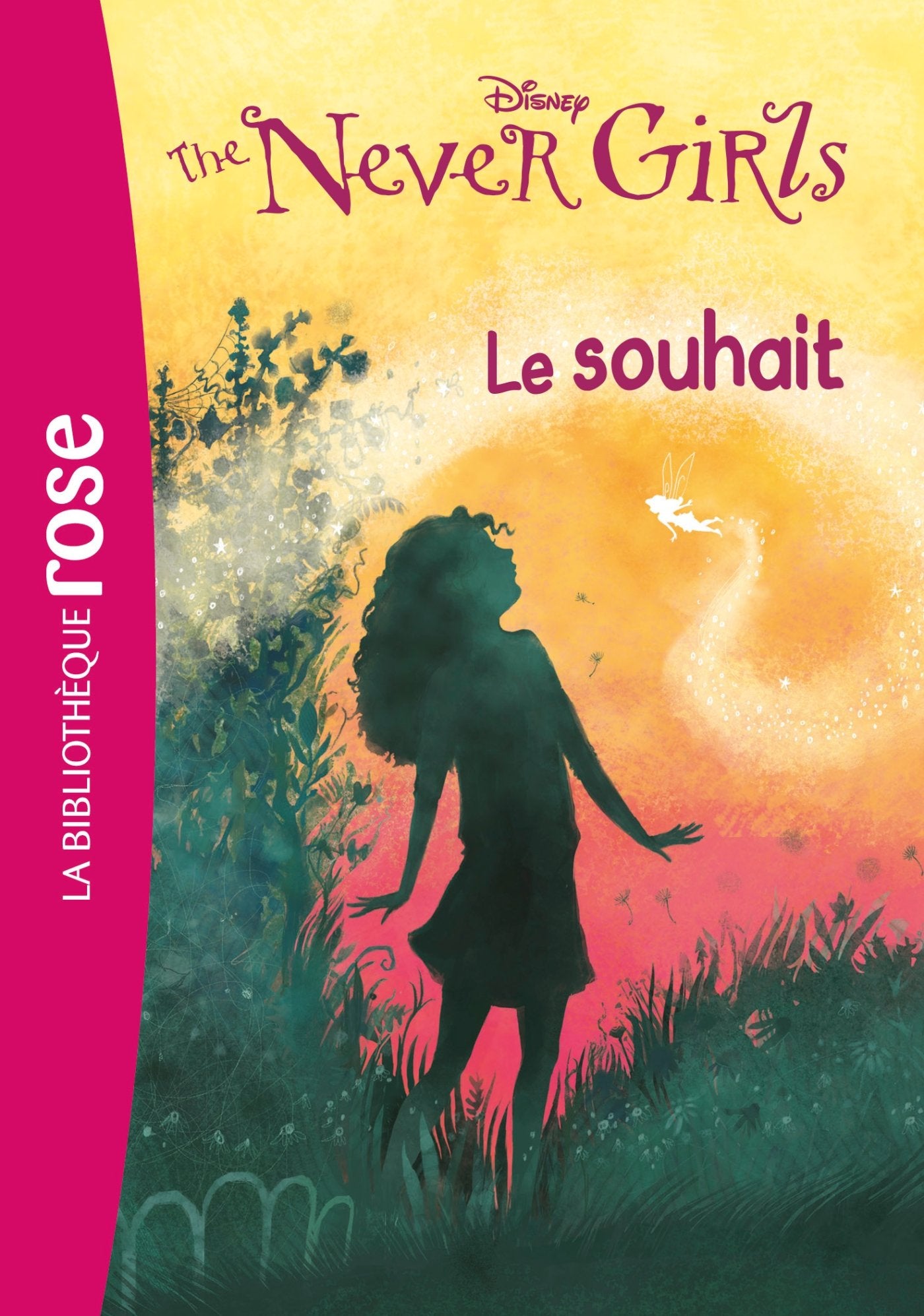 The Never Girls 03 - Le souhait 9782012047815