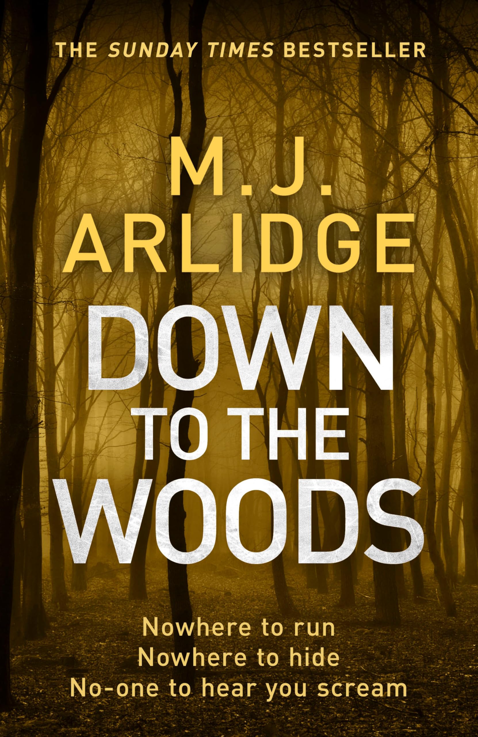 Down to the Woods: DI Helen Grace 8 9781405925693