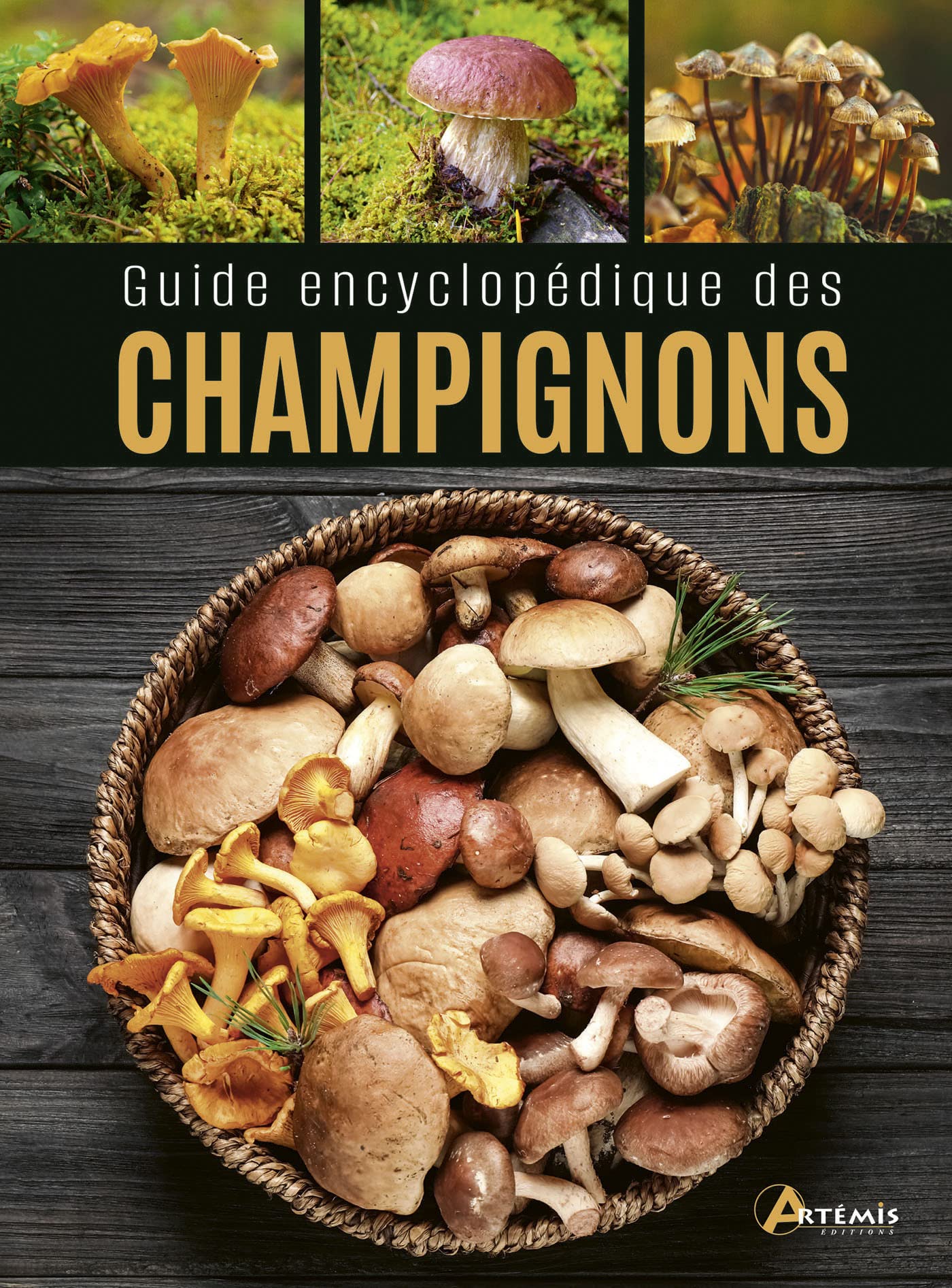Guide encyclopédique des champignons 9782816020373