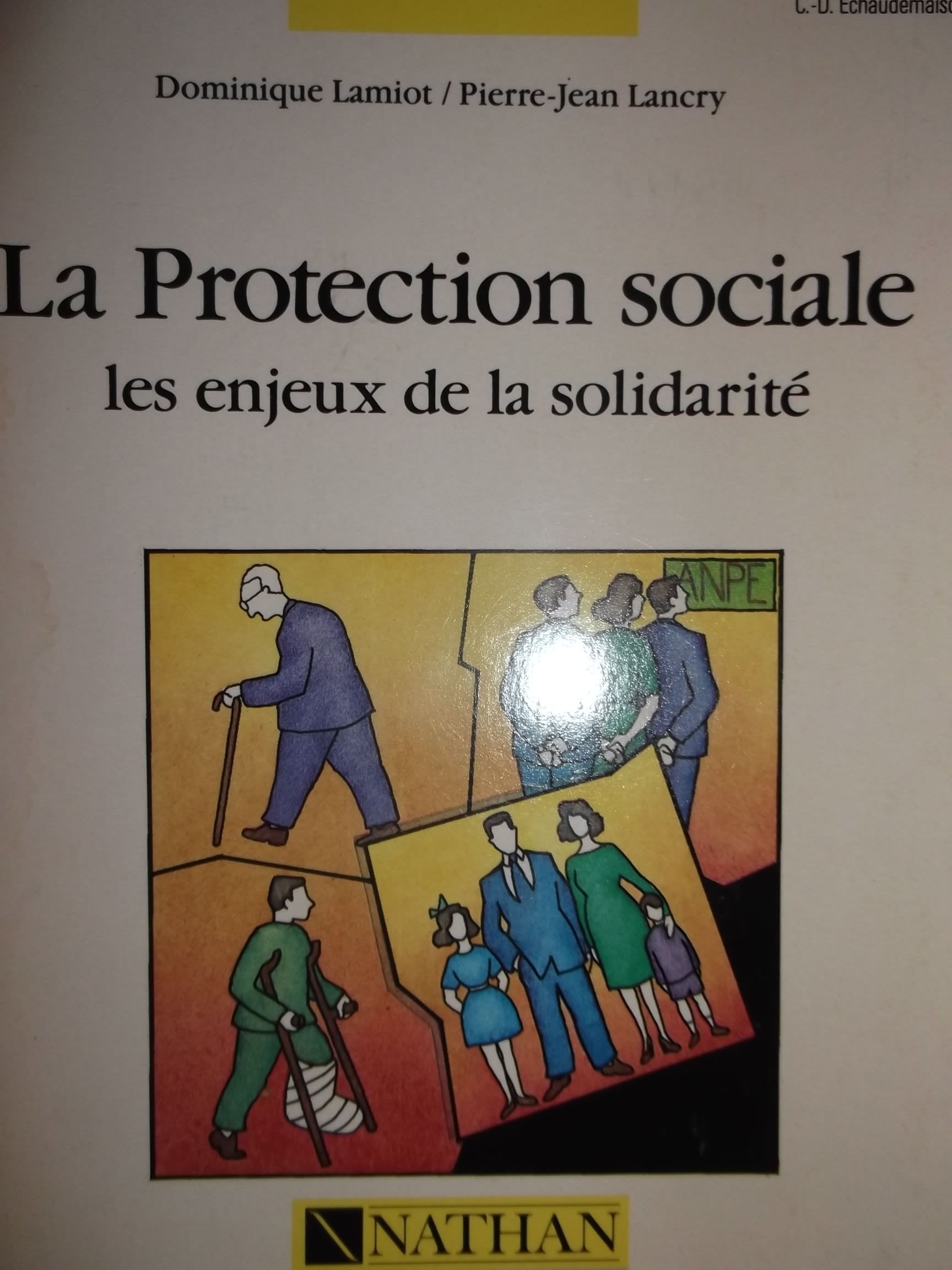 La Protection sociale: Les enjeux de la solidarité 9782091889641