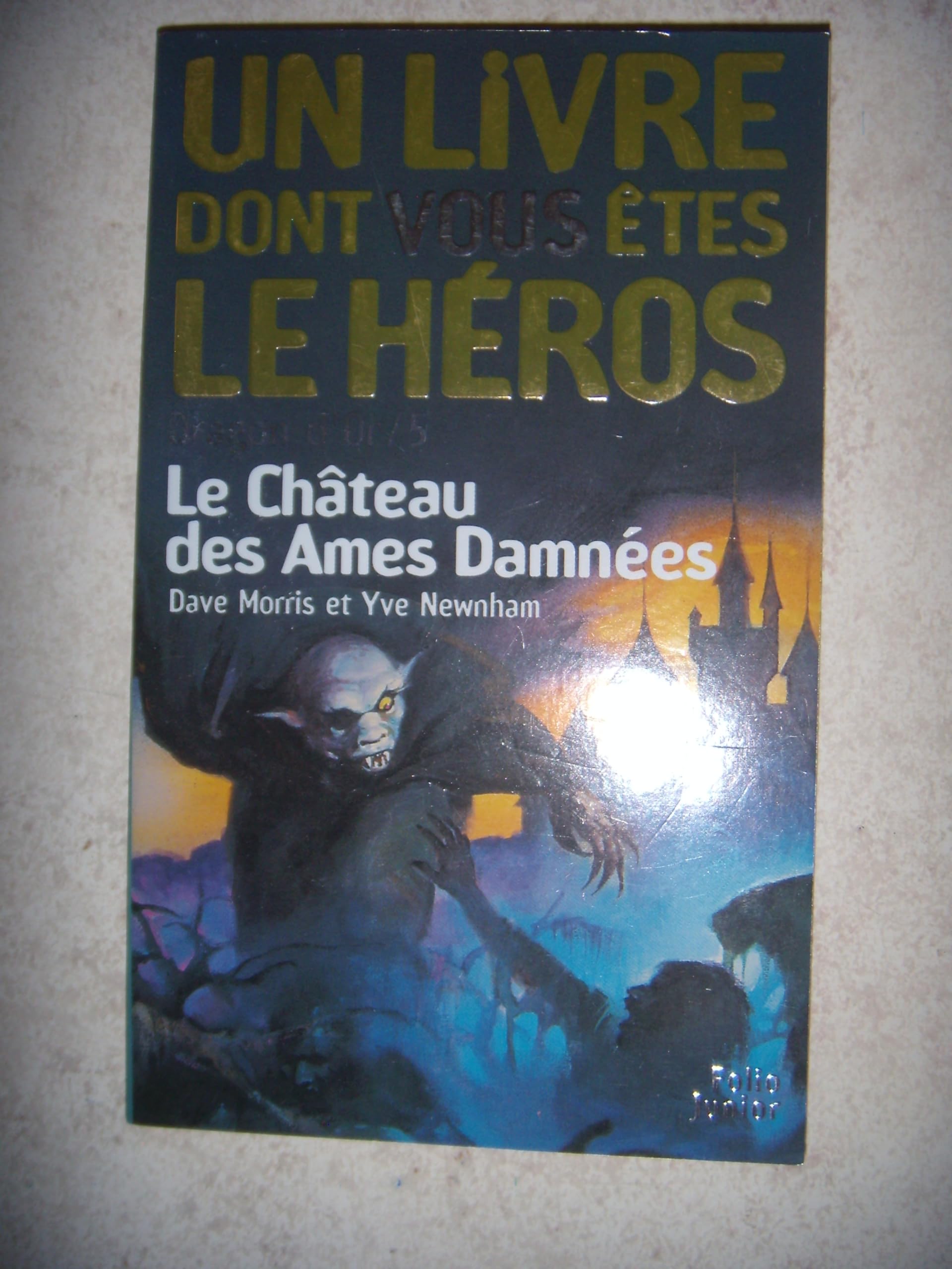 Dragon d'or, numéro 5 : Le Château des âmes damnées 9782070546039