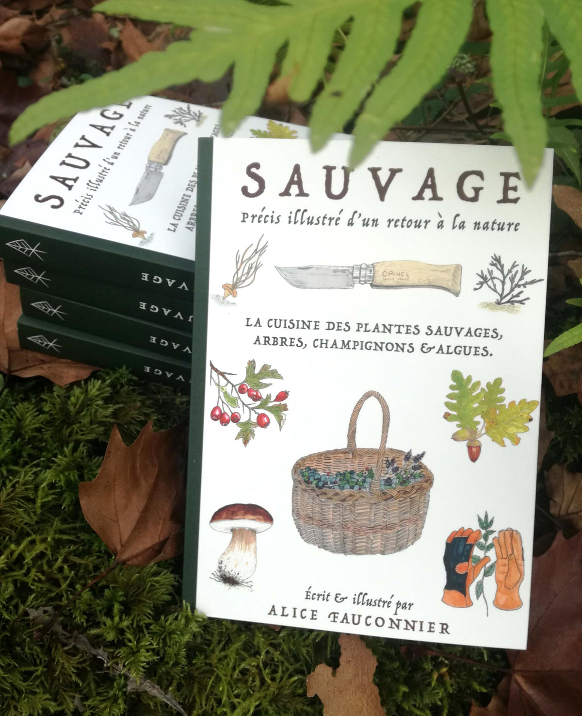 Sauvage, précis illustré d'un retour à la nature: la cuisine des plantes sauvages, arbres, champignons et algues 9791041531325