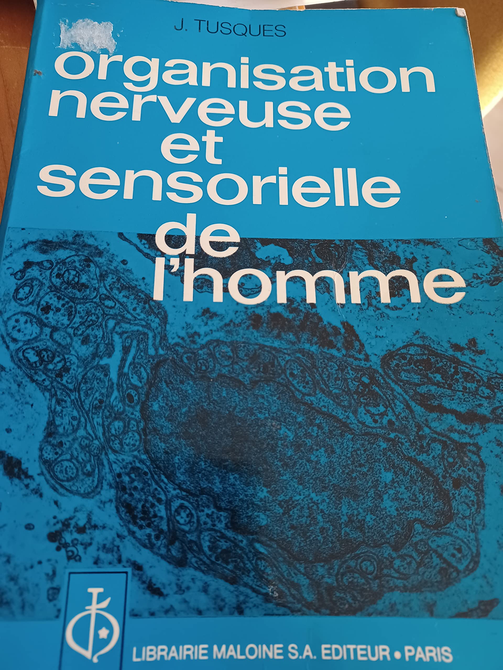 Organisation nerveuse et sensorielle de l'homme