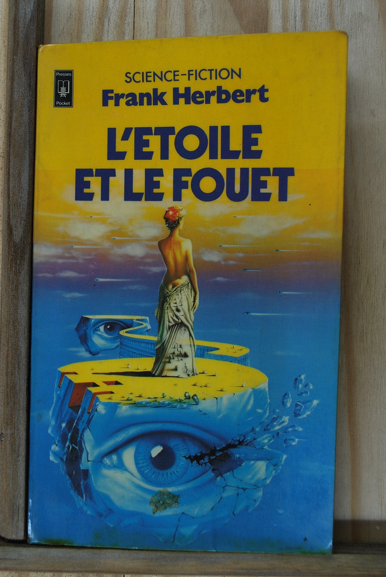 L'étoile et le fouet 9782266009454
