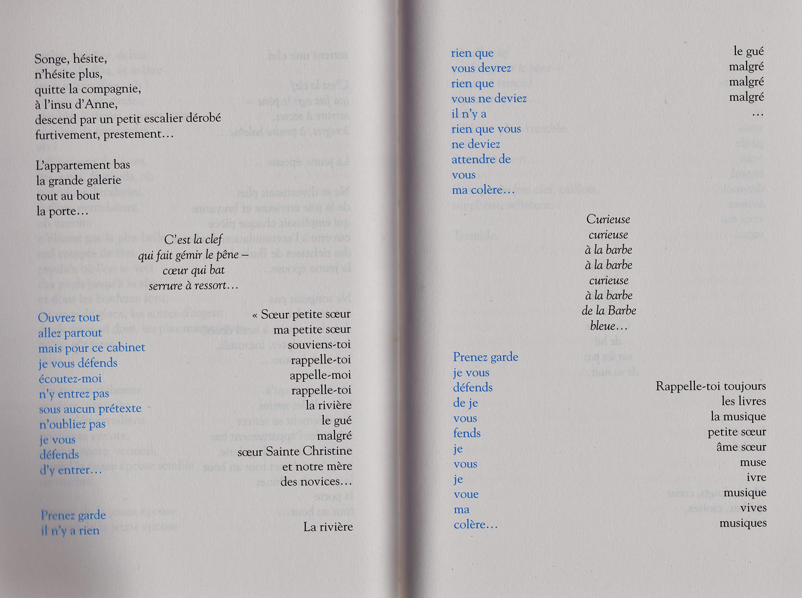 barbe bleue 9782952751025