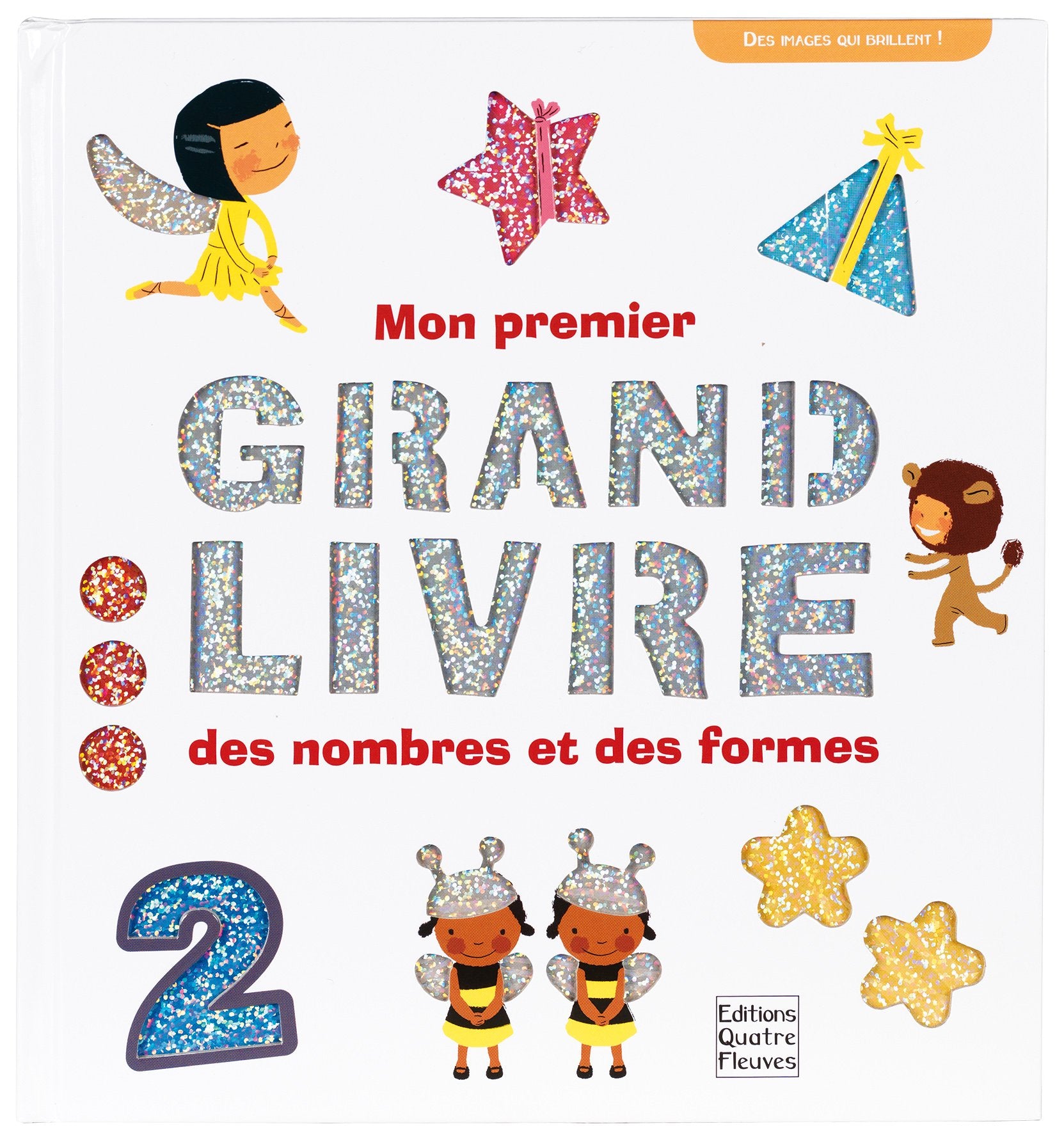 Mon premier grand livre des nombres et des formes 9782841969531