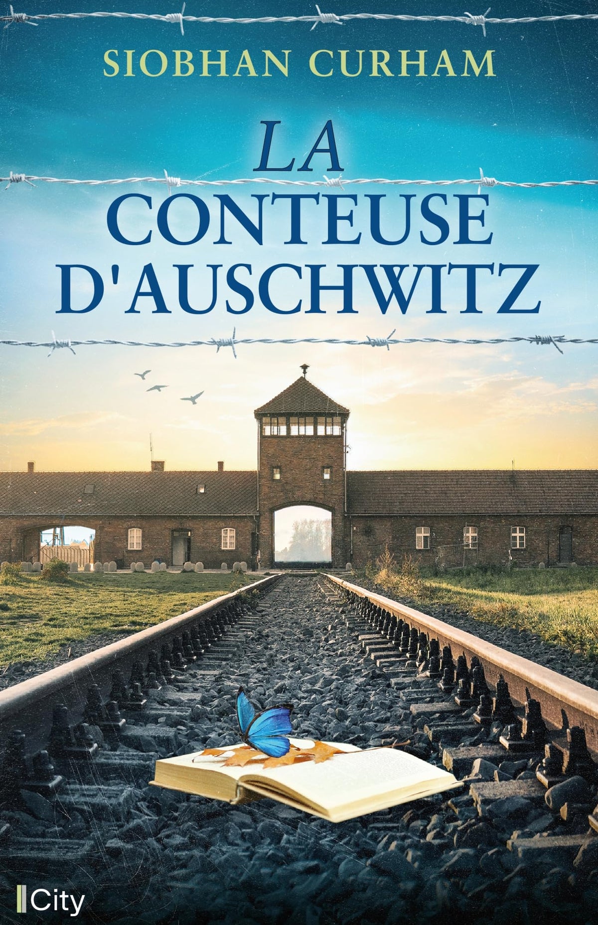 La conteuse d'Auschwitz 9782824622750