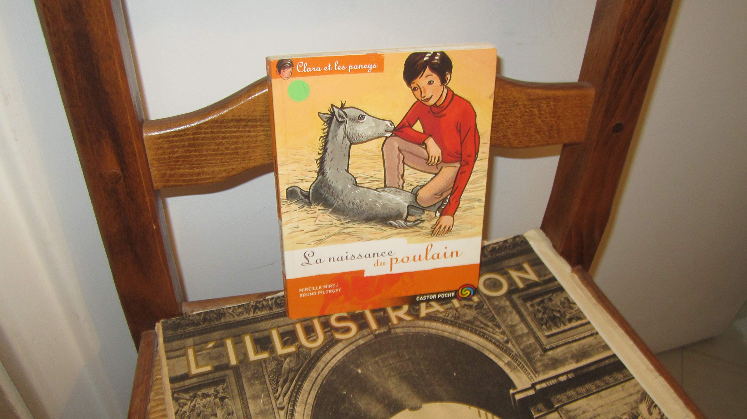 Clara et les Poneys, tome 3 : La Naissance du poulain 9782081620261