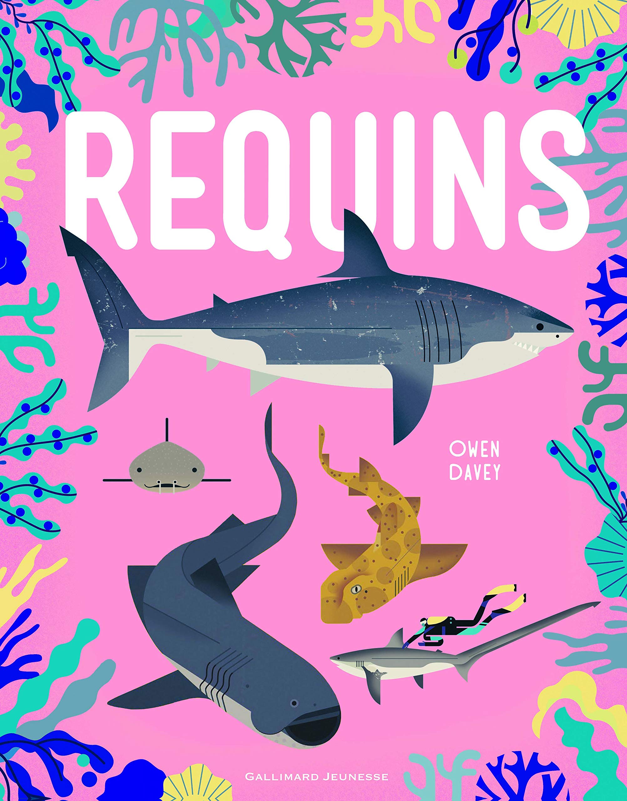 REQUINS 9782070605279