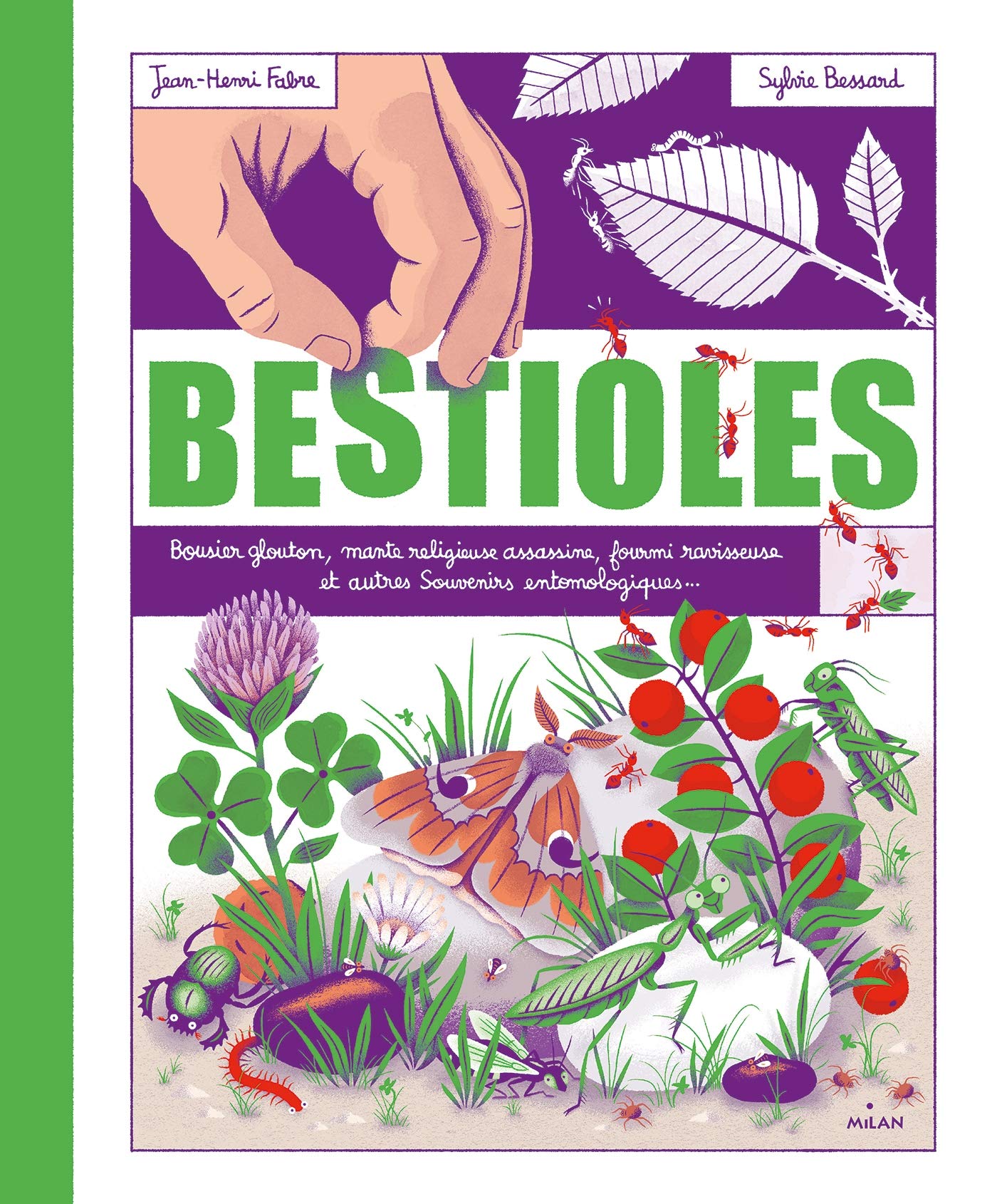 Bestioles: D'après les "Souvenirs entomologiques" de Jean Henri Fabre 9782408031220