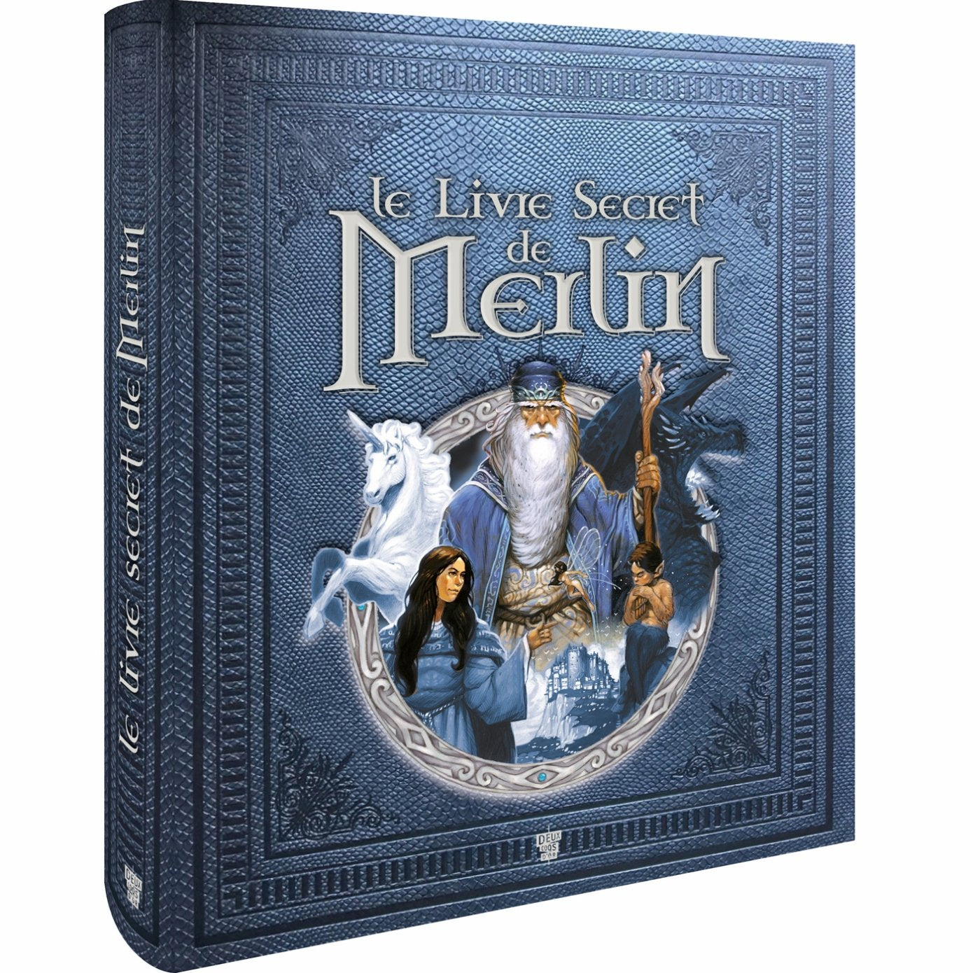 Le livre secret de Merlin 9782014602562