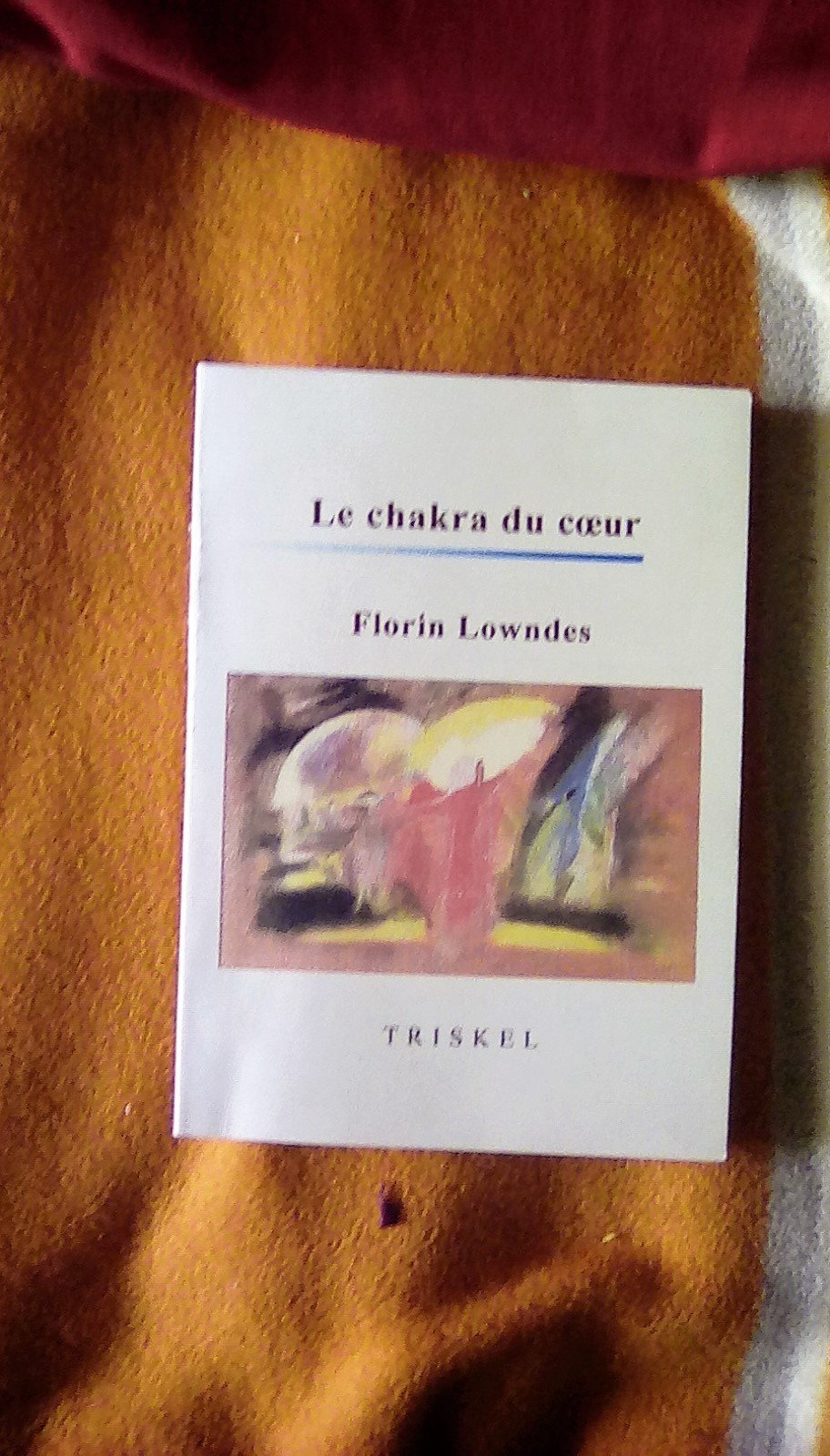 Le Chakra du coeur : Guide pour la pratique des exercices complémentaires de Rudolf Steiner 9782904991837