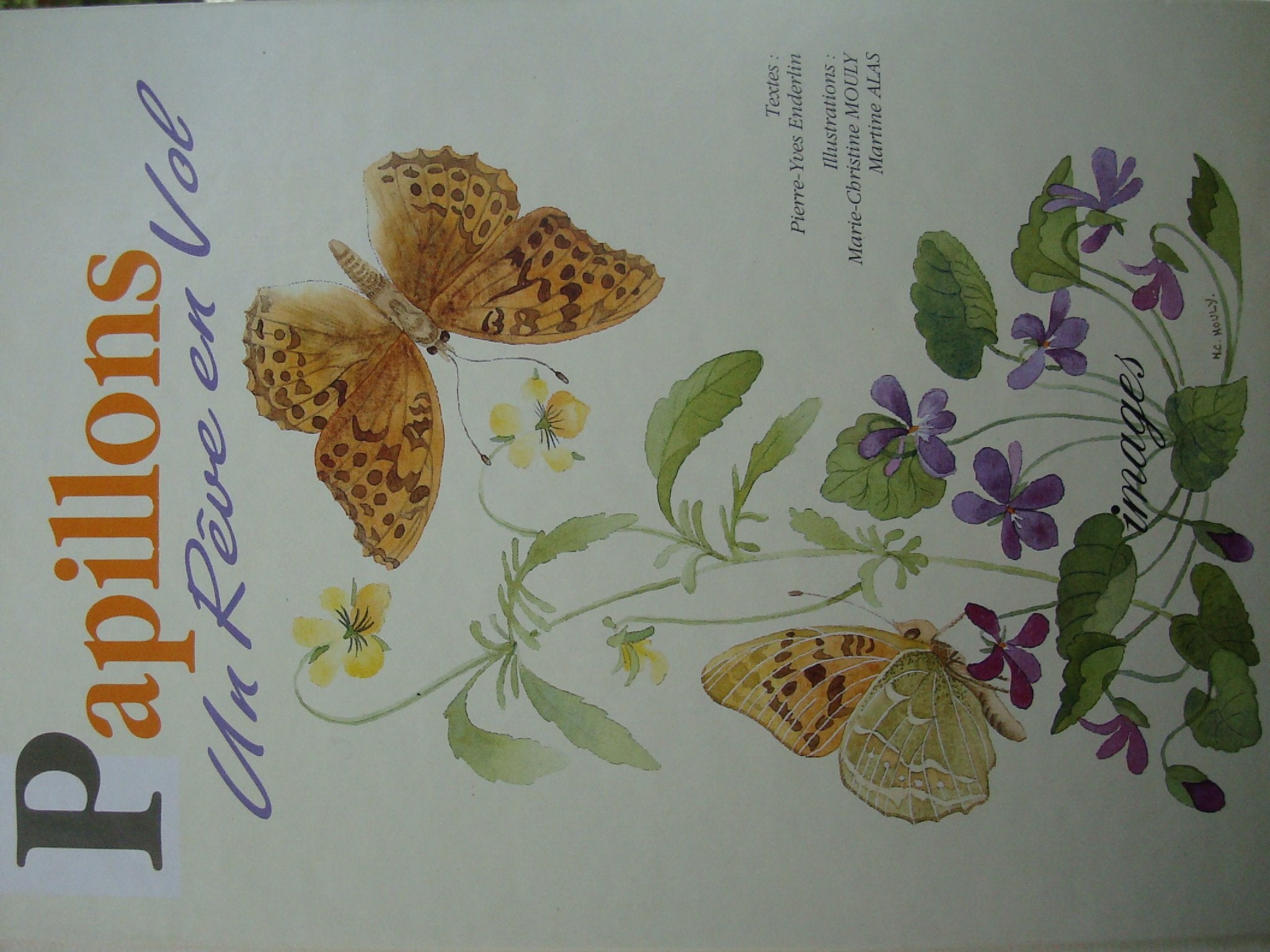 Le Chant des baleines 9782211027489