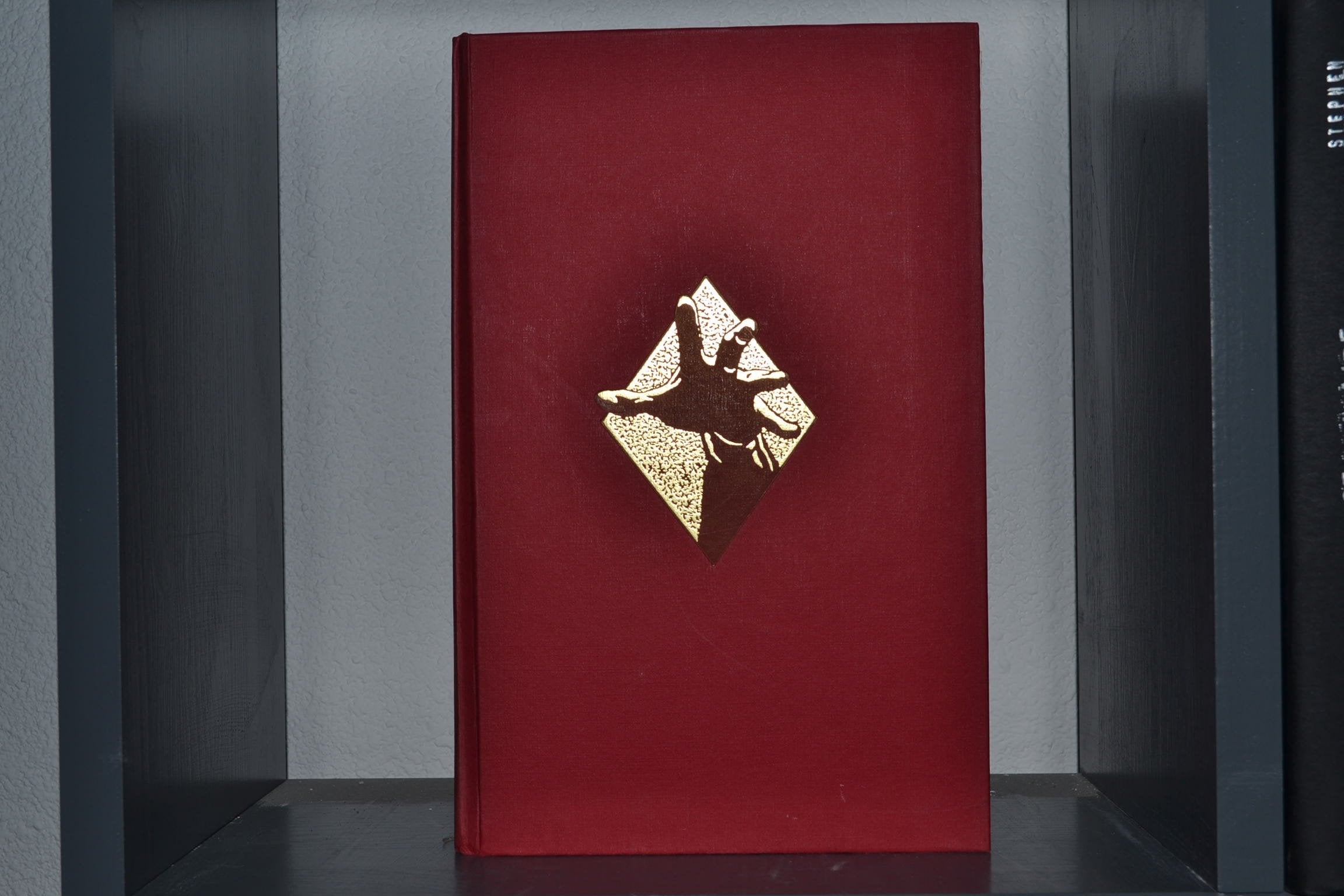 The Mist: (Brume) 9782226186003