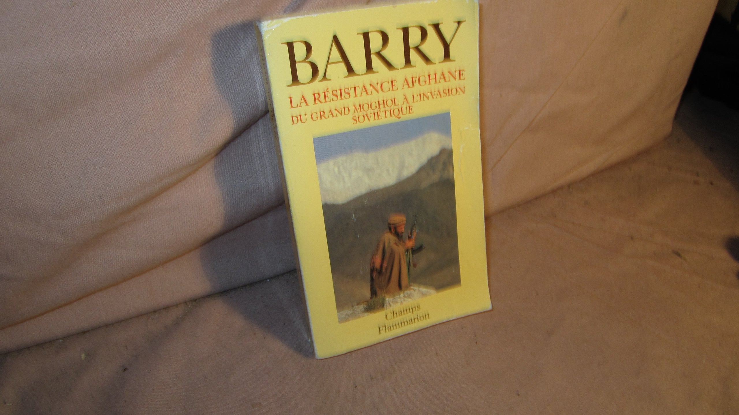 Resistance afghane du grand moghol a l'invasion (La) 9782080812070