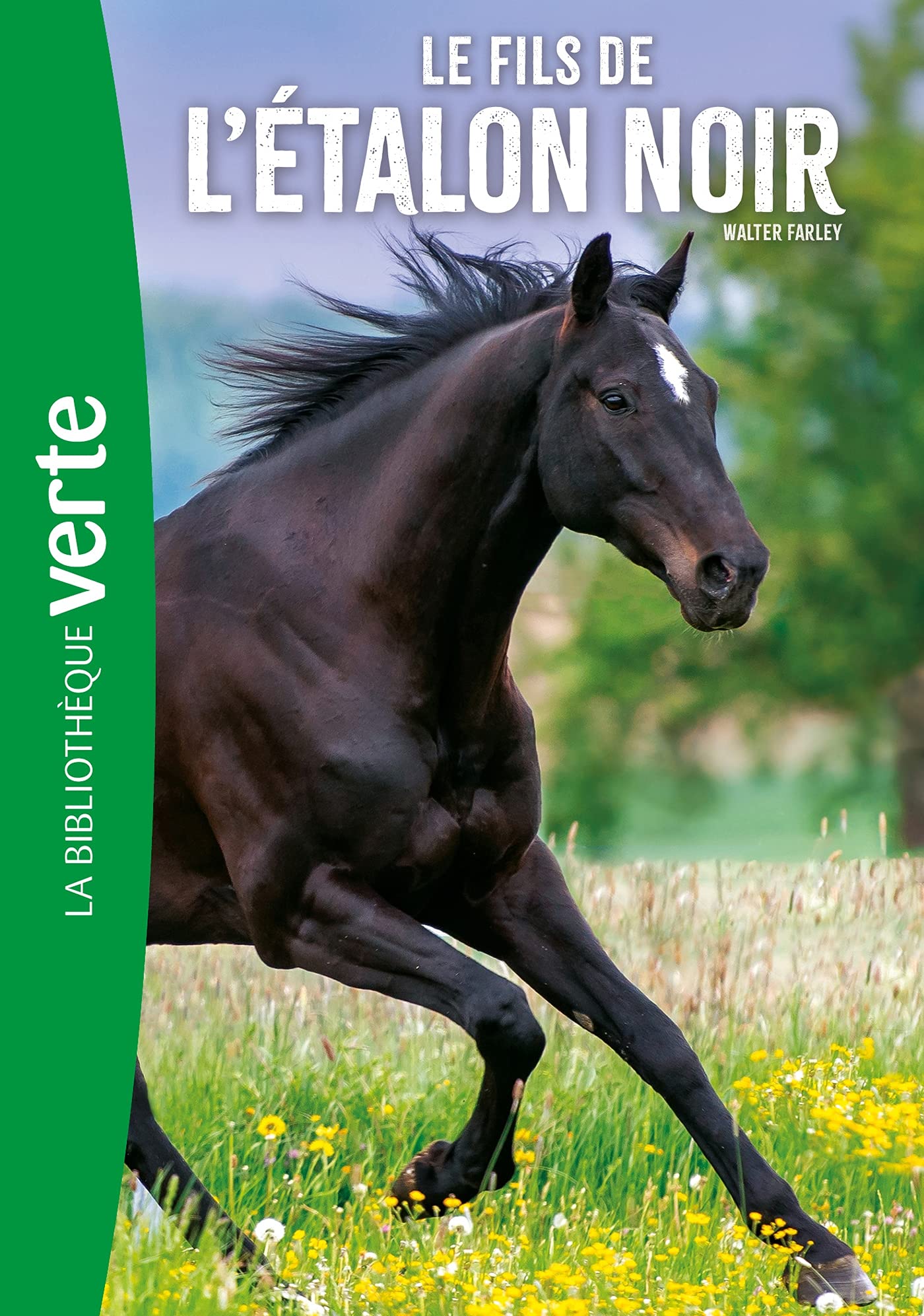 L'Etalon Noir 04 NED - Le Fils de l'Etalon Noir 9782017132073