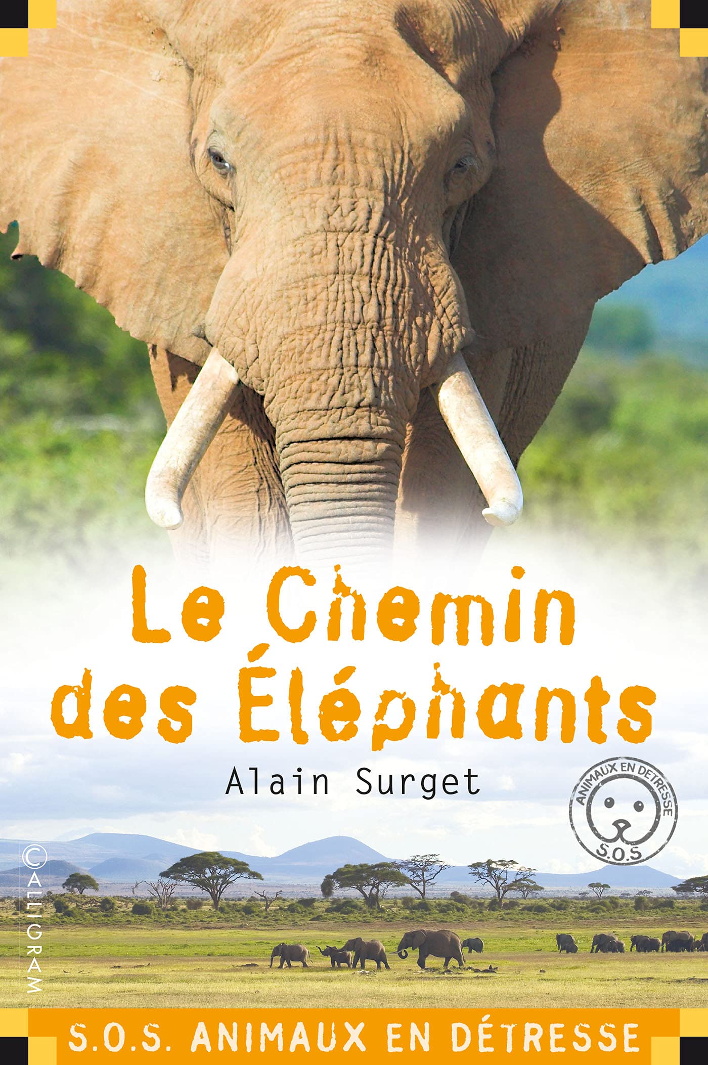 Le Chemin des éléphants 9782884806220