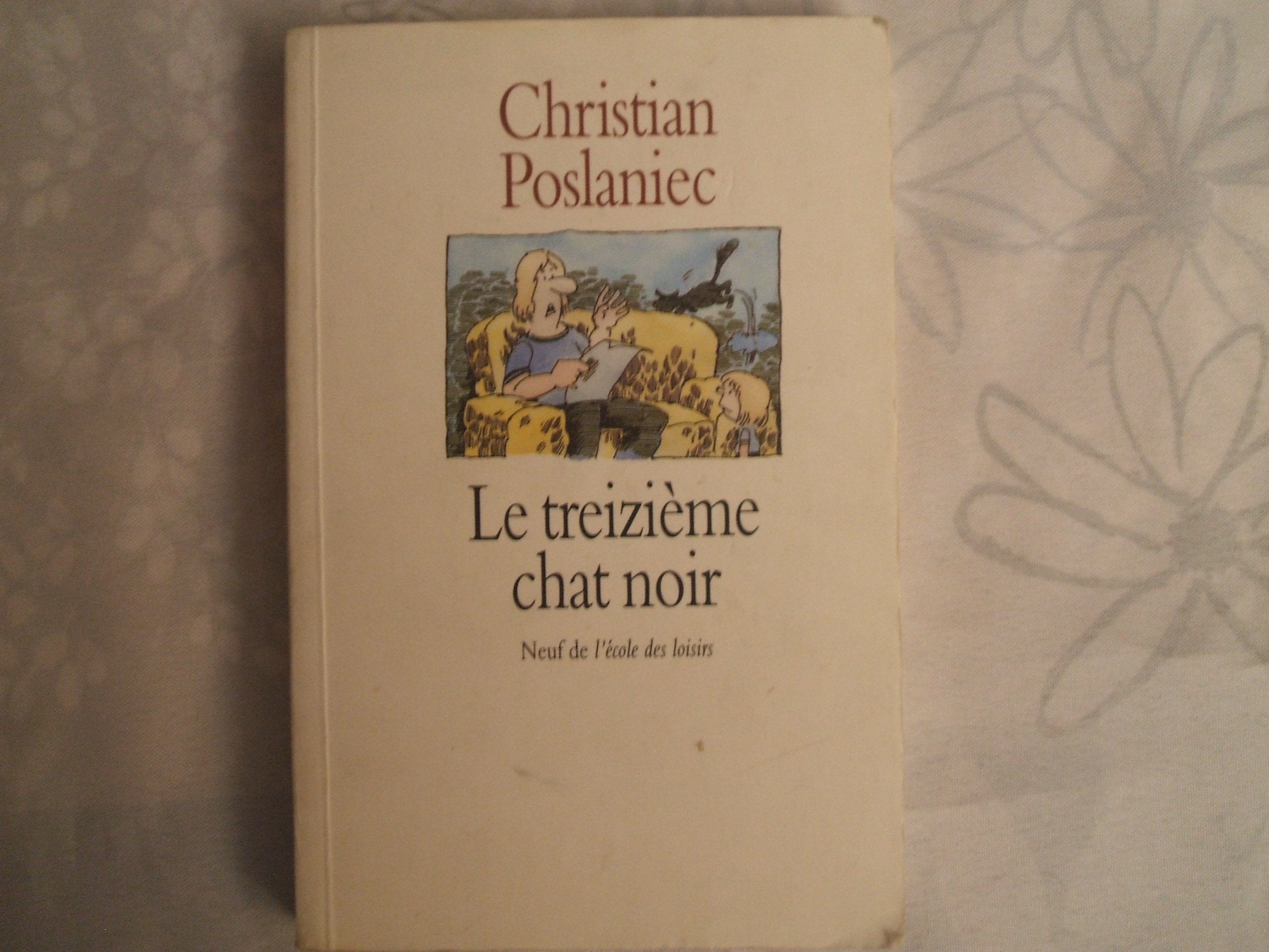 Le treizième chat noir 9782211013994