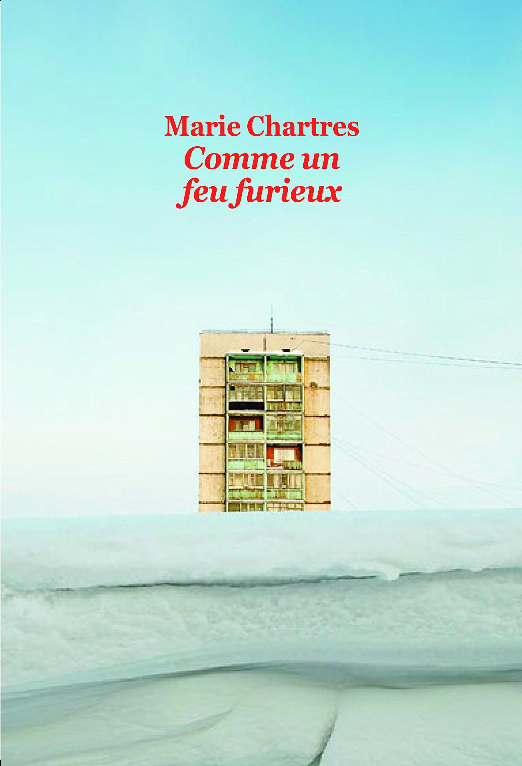 COMME UN FEU FURIEUX 9782211216203